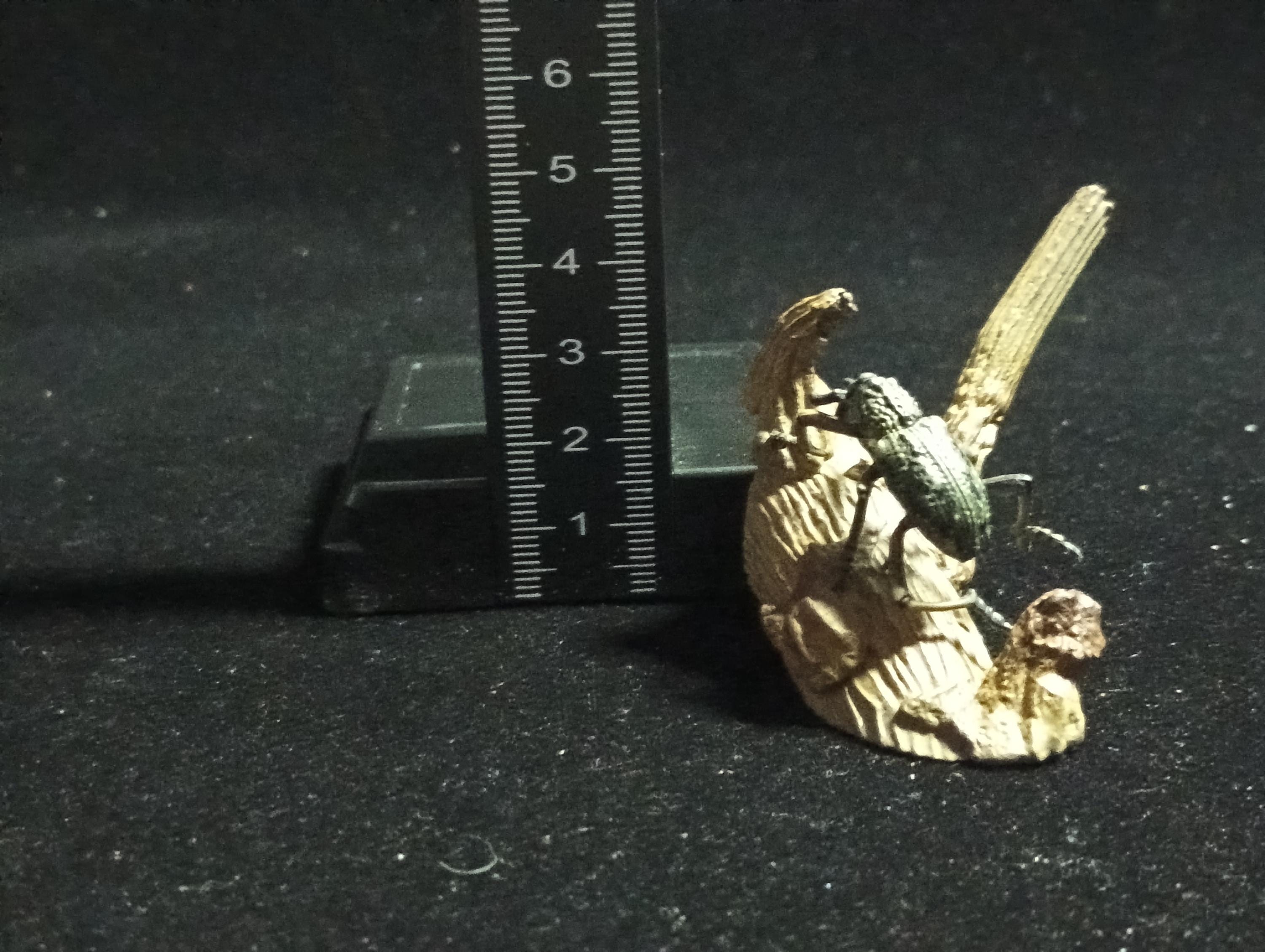 Yujin Kaiyodo Large Weevil Beetle Japanese Insects I