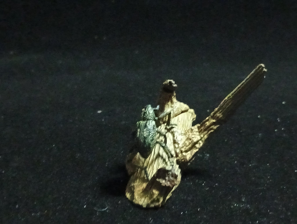 Yujin Kaiyodo Large Weevil Beetle Japanese Insects I