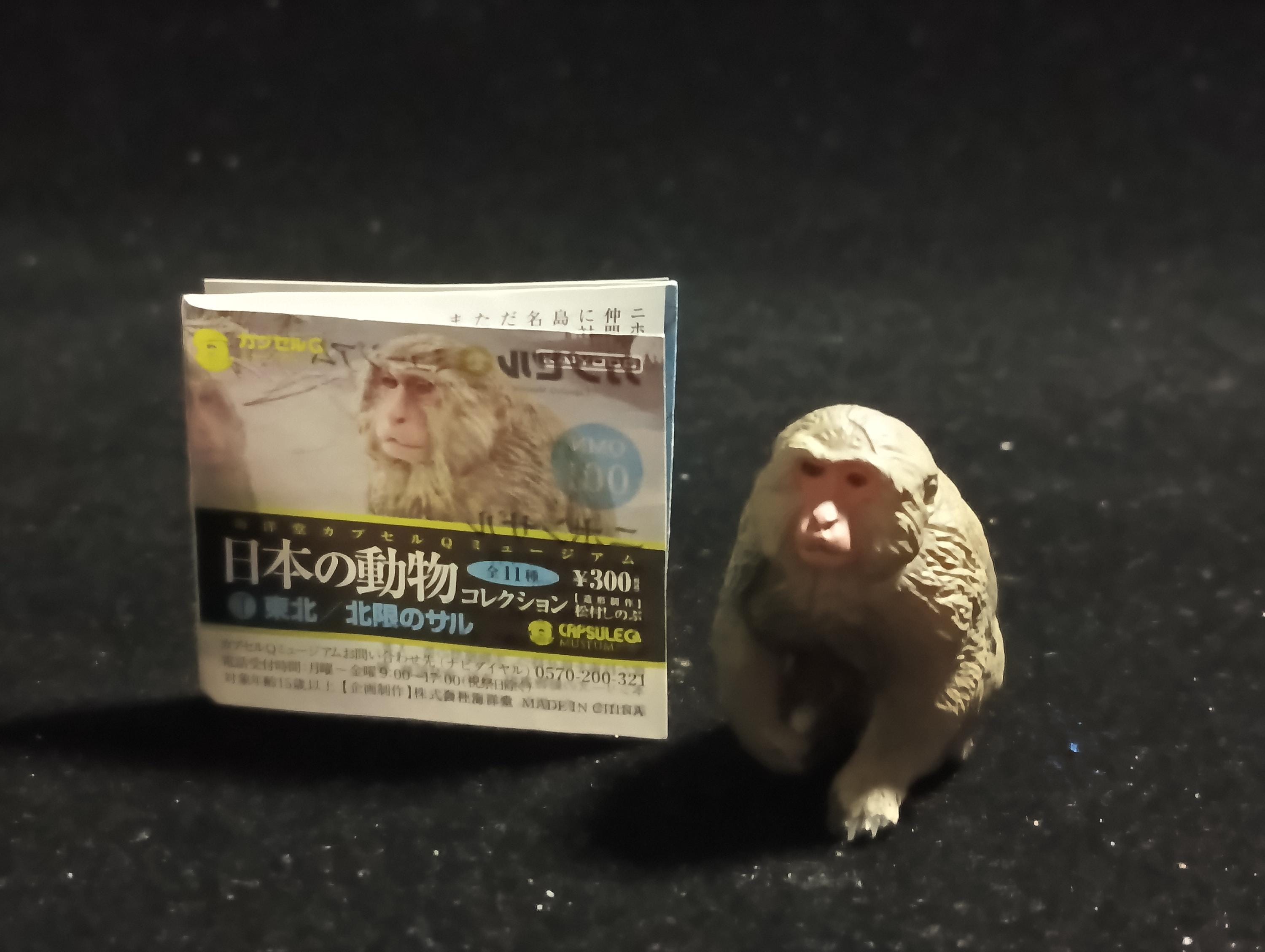 Japanese Animals: Tohoku / Northern Limit Macaque - The northernmost monkey (Snow Monkey) - Kaiyodo Capsule Q Museum