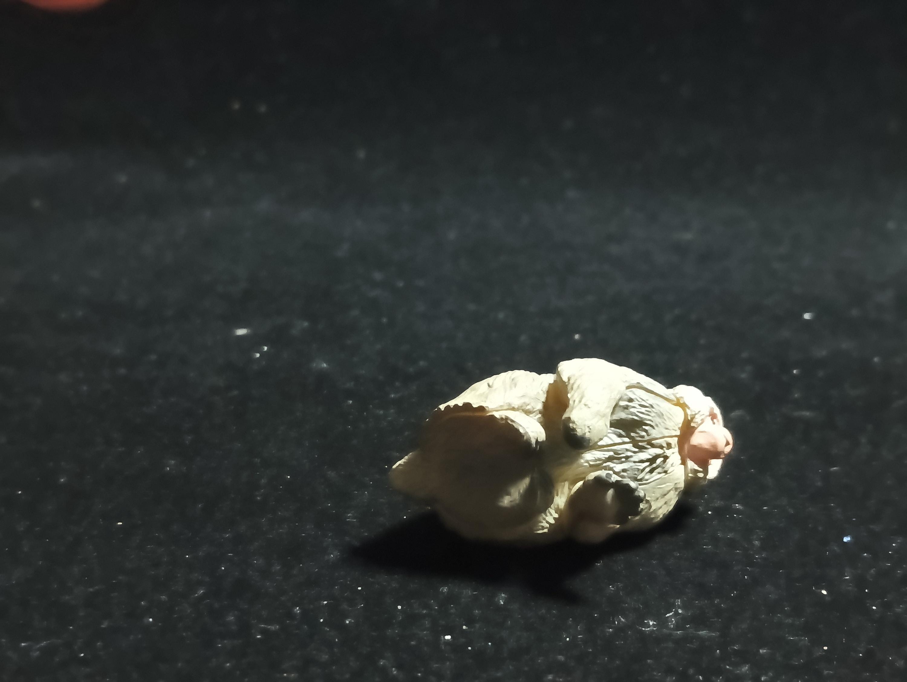 Japanese Animals: Tohoku / Northern Limit Macaque - The northernmost monkey (Snow Monkey) - Kaiyodo Capsule Q Museum