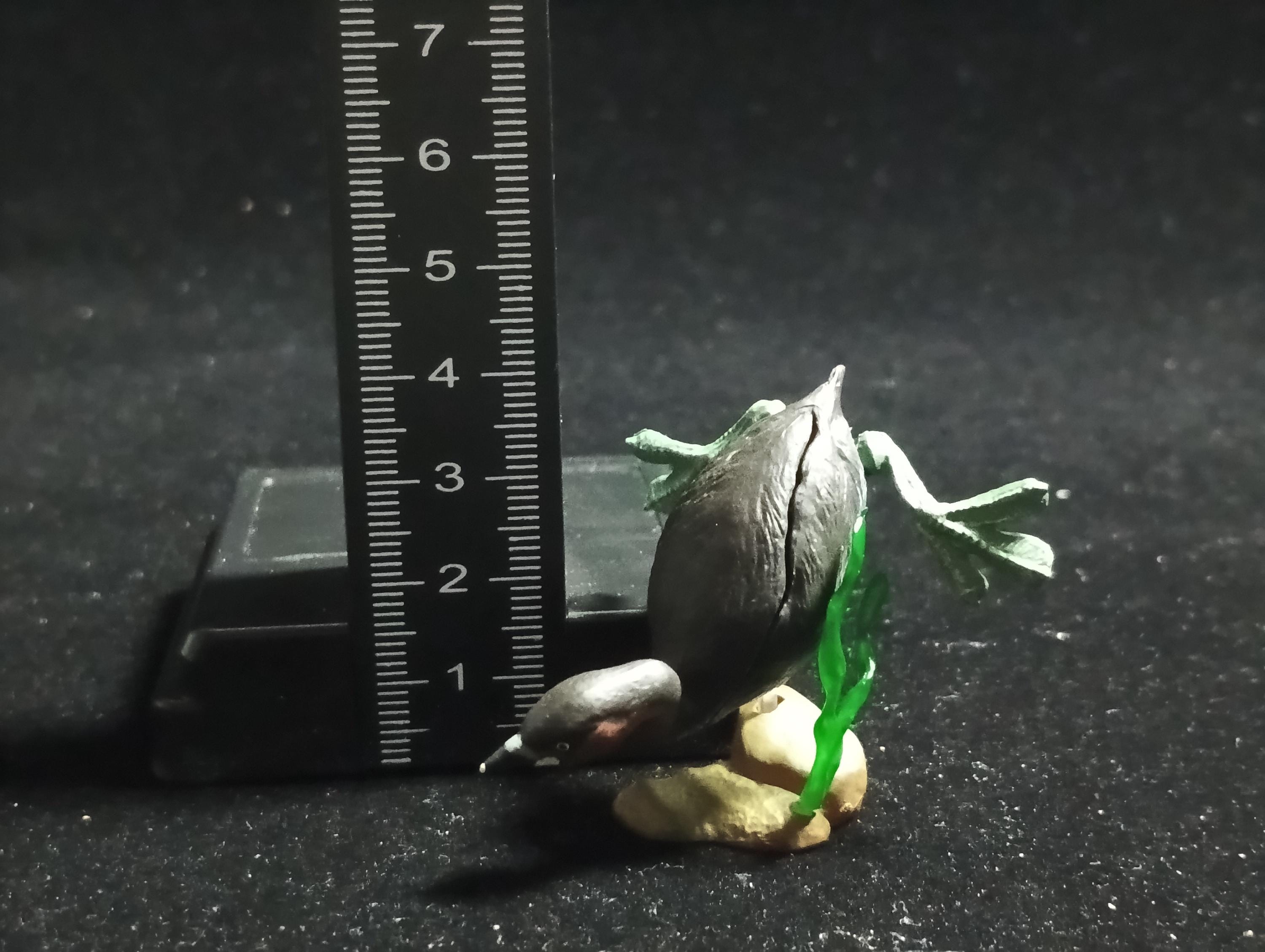 Animatales Biwako Little Grebe - Kaiyodo Capsule Q Museum #63