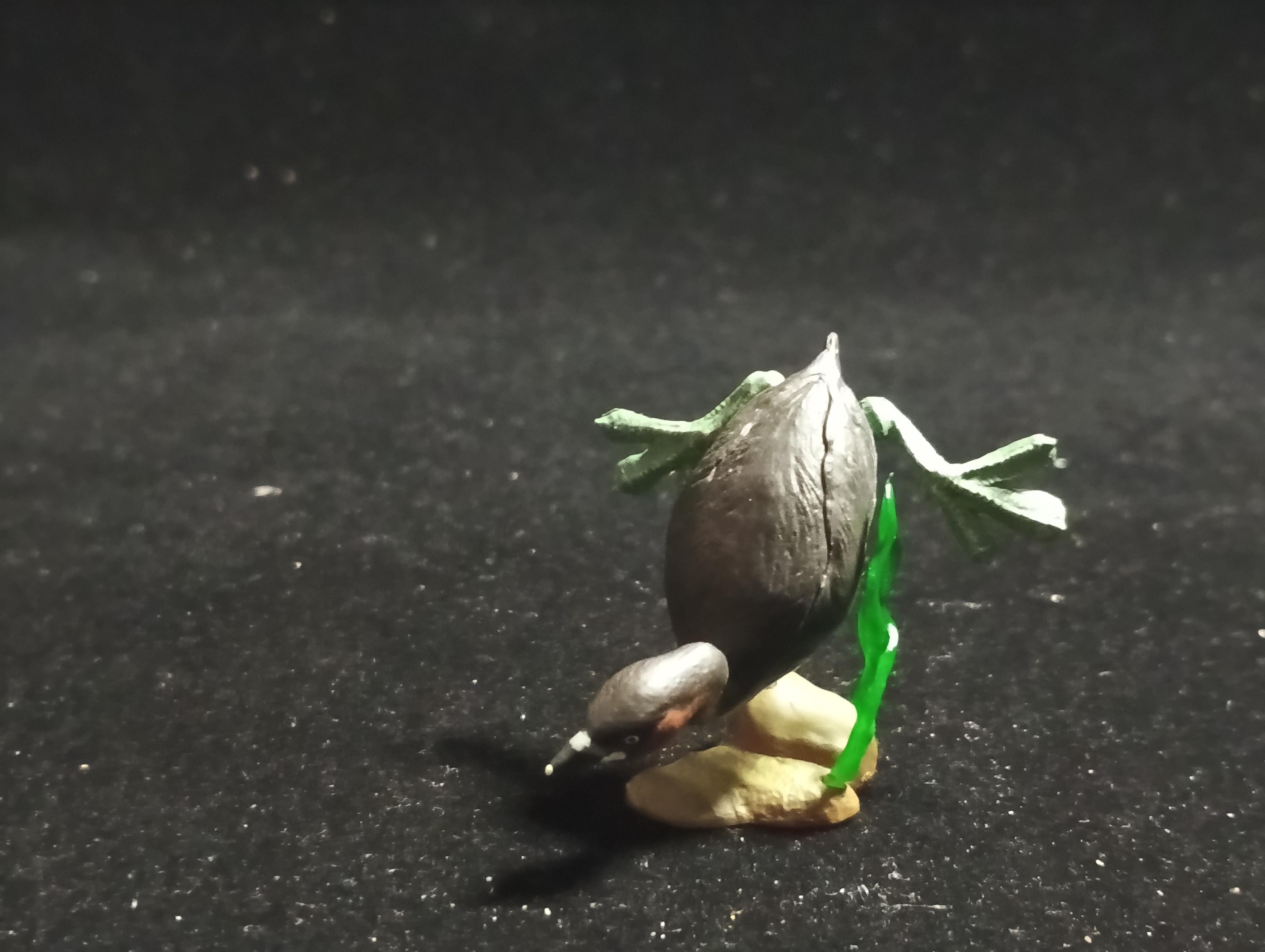 Animatales Biwako Little Grebe - Kaiyodo Capsule Q Museum #63