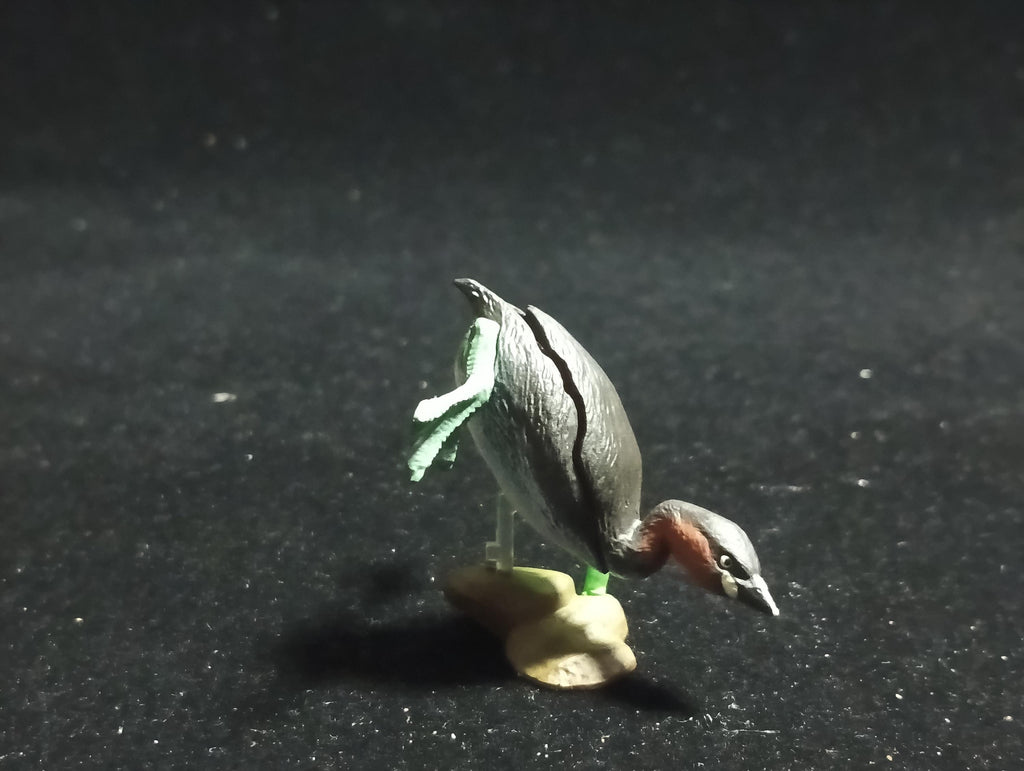 Animatales Biwako Little Grebe - Kaiyodo Capsule Q Museum #63