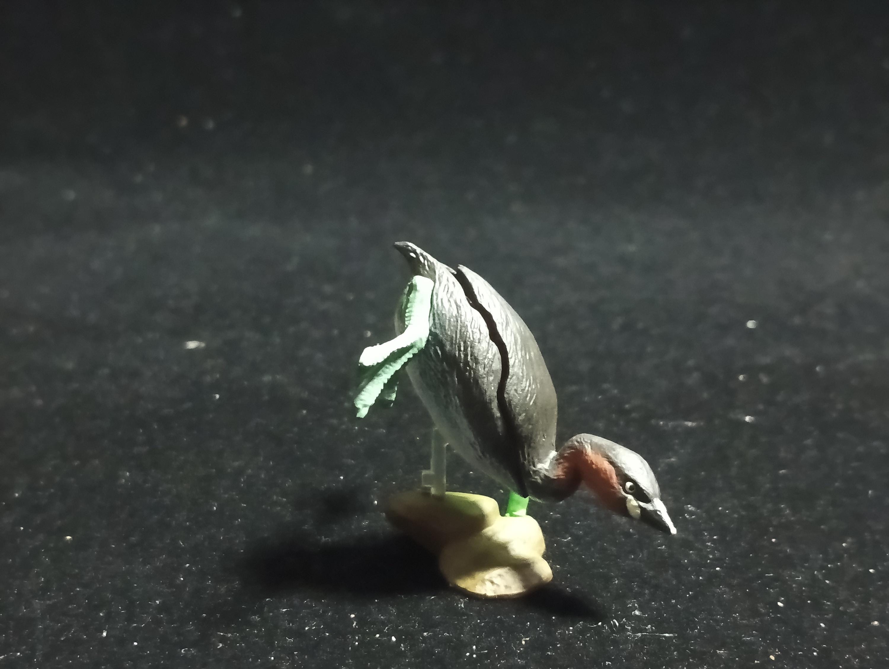 Animatales Biwako Little Grebe - Kaiyodo Capsule Q Museum #63