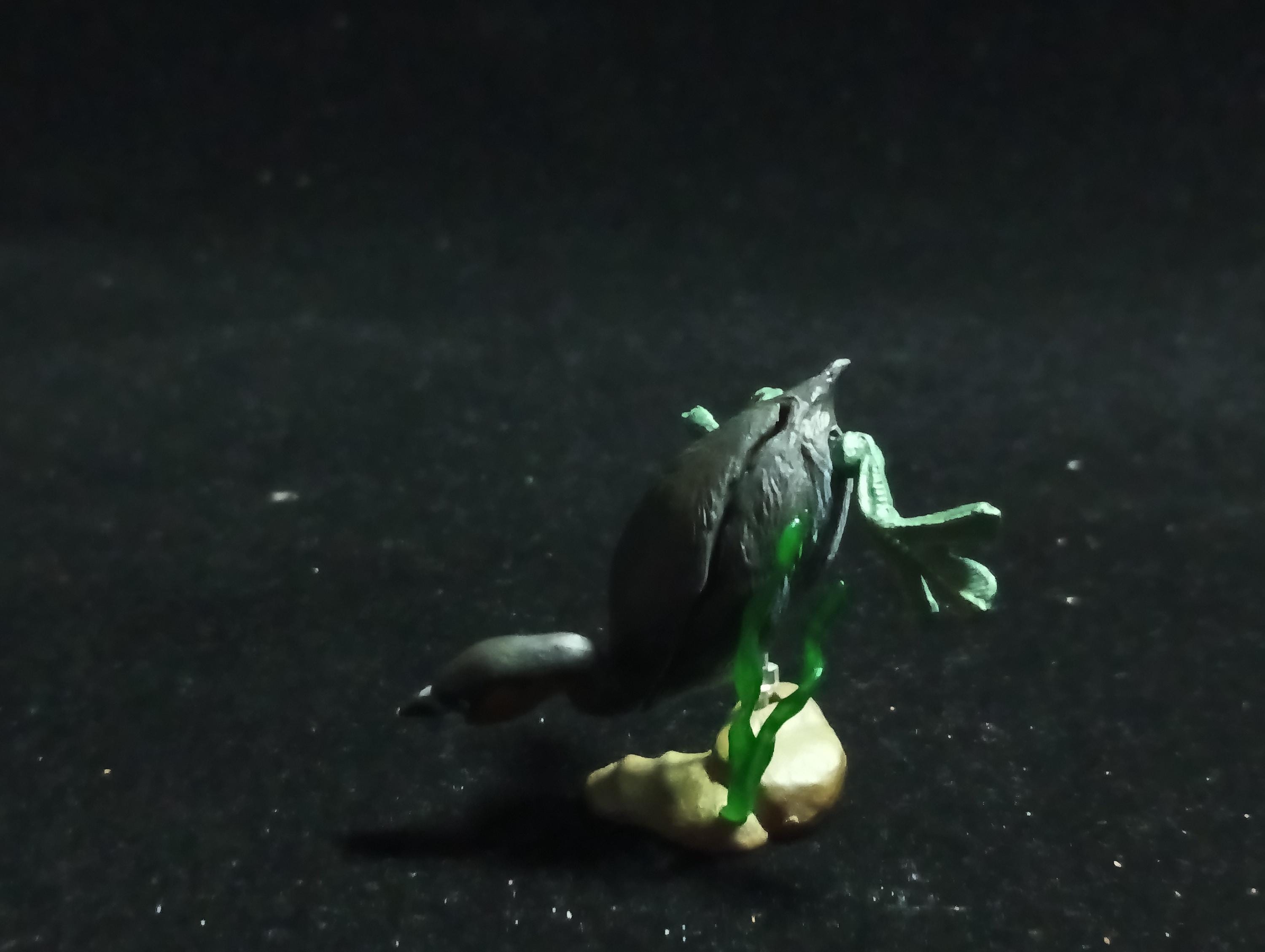 Animatales Biwako Little Grebe - Kaiyodo Capsule Q Museum #63