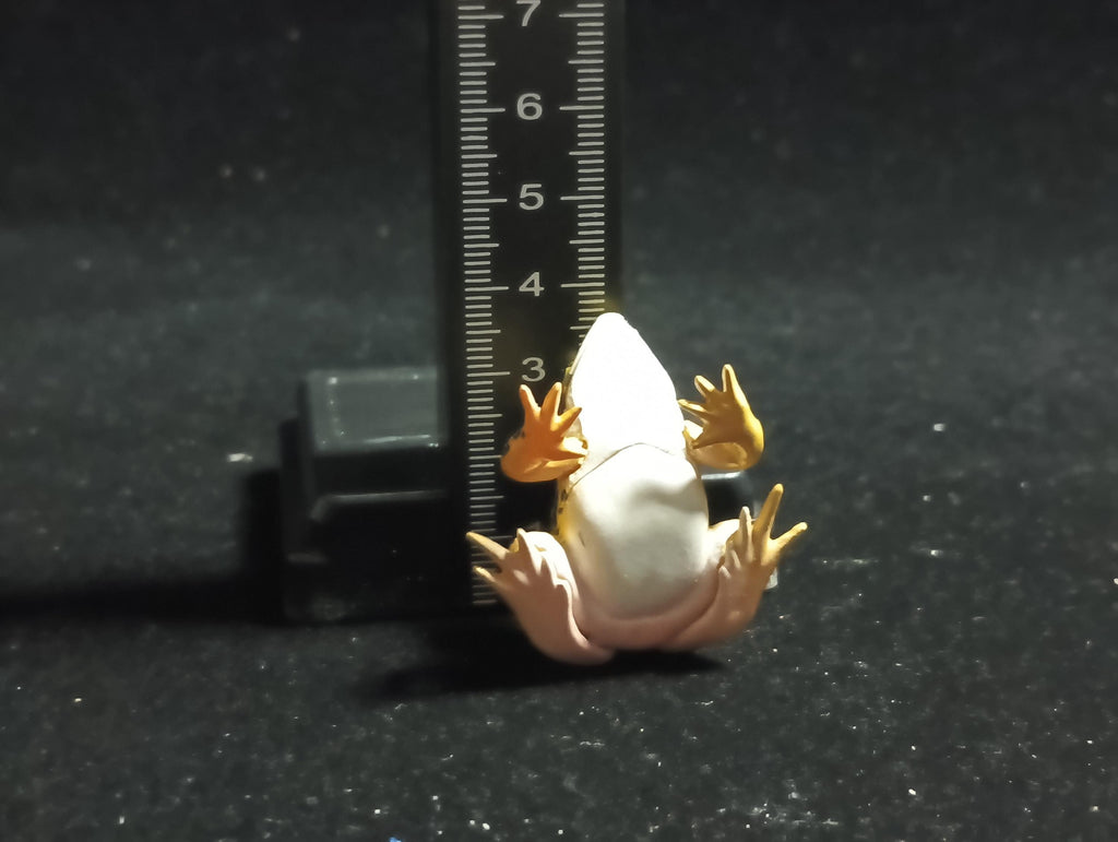 Animatales Western Leopard Toad - Kaiyodo Capsule Q Museum #22