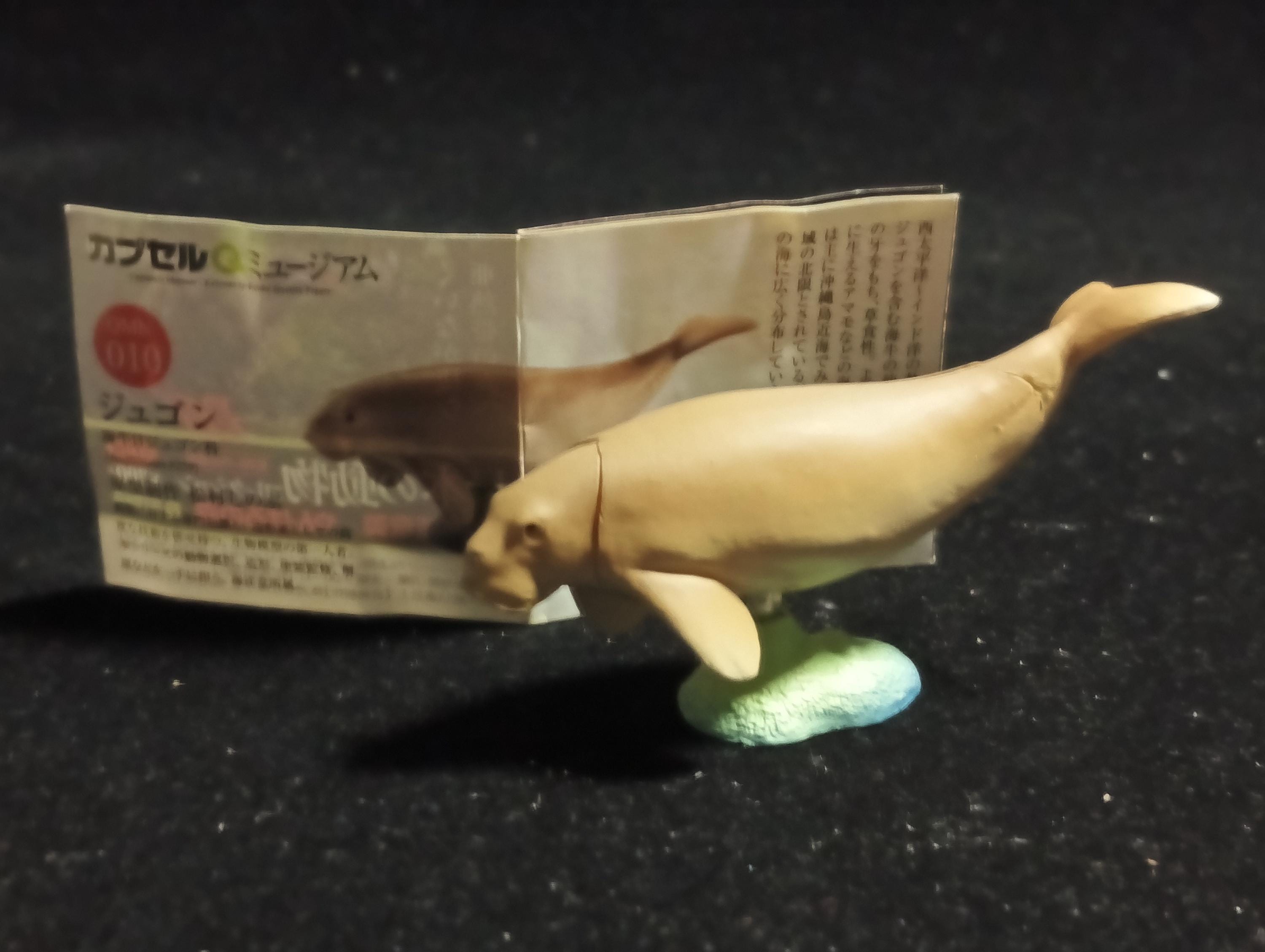 Japanese Animals Okinawa Amami -  Dugong - Kaiyodo Capsule Q Museum #10