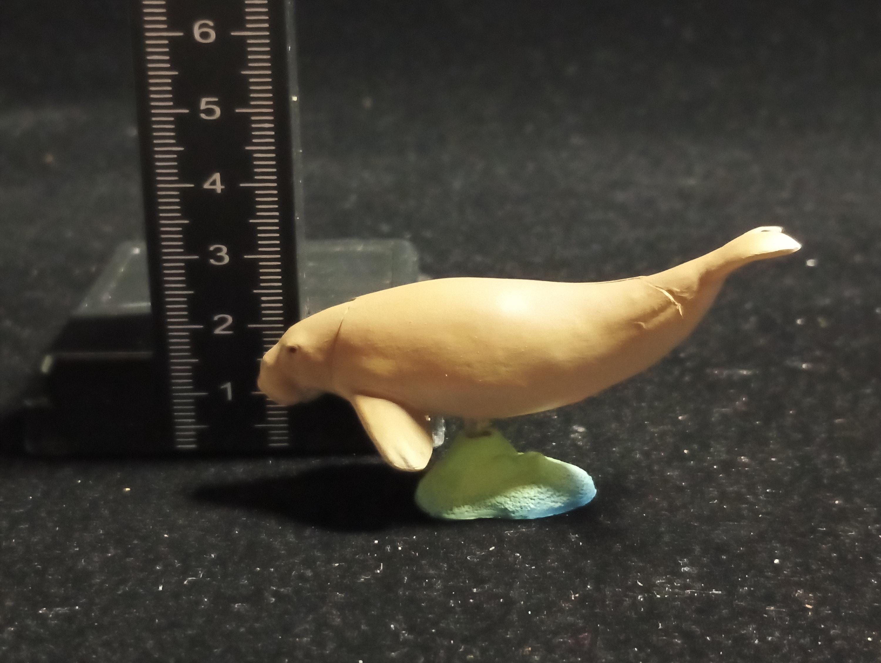 Japanese Animals Okinawa Amami -  Dugong - Kaiyodo Capsule Q Museum #10
