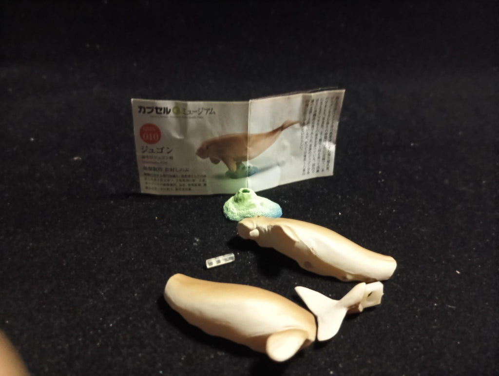 Japanese Animals Okinawa Amami -  Dugong - Kaiyodo Capsule Q Museum #10
