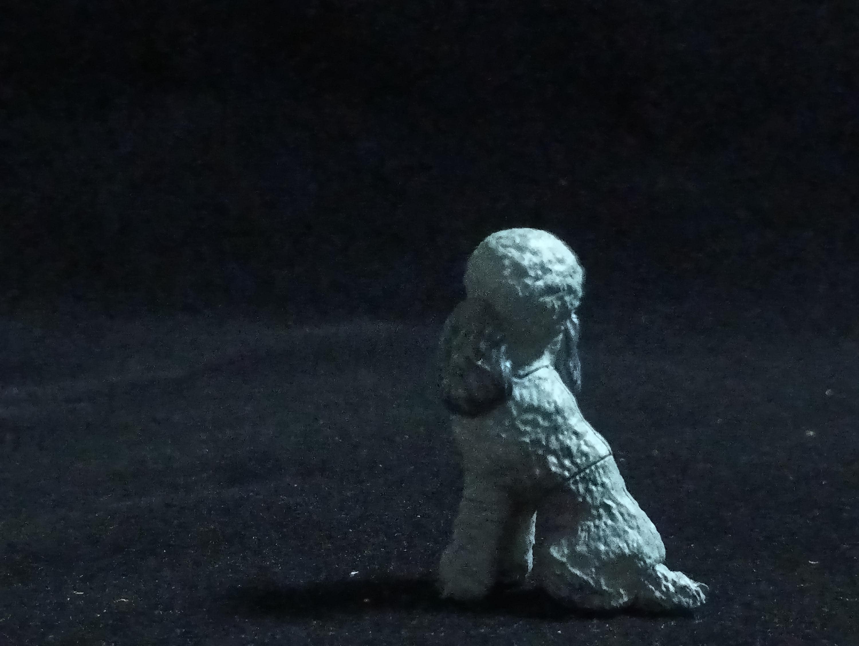 Miniature Poodle Dog(Black) Figurine - Furuta
