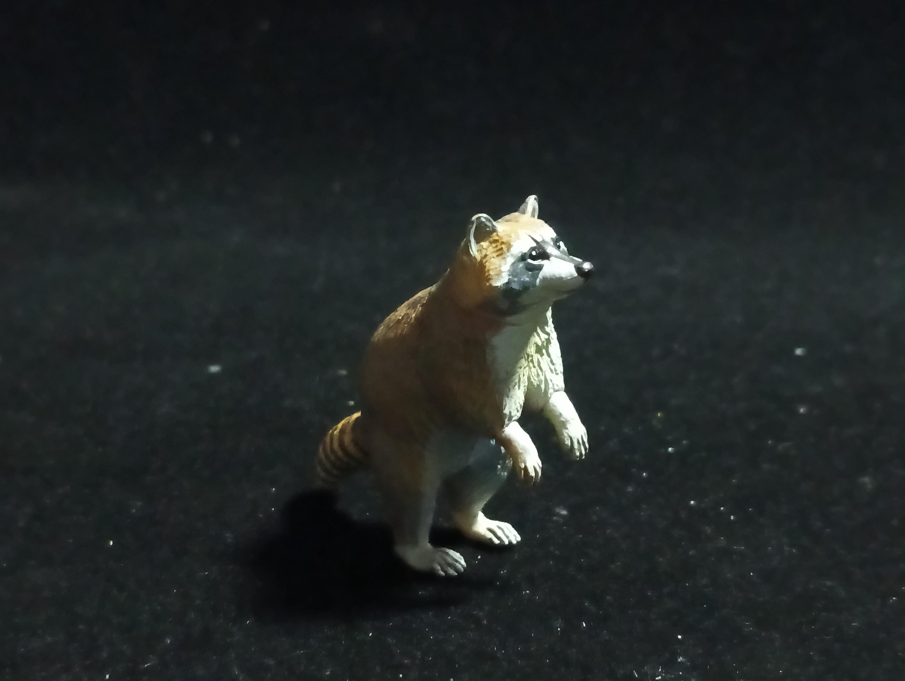 Kaiyodo Capsule Museum Q Japan Exclusive North American Raccoon Animal Figure