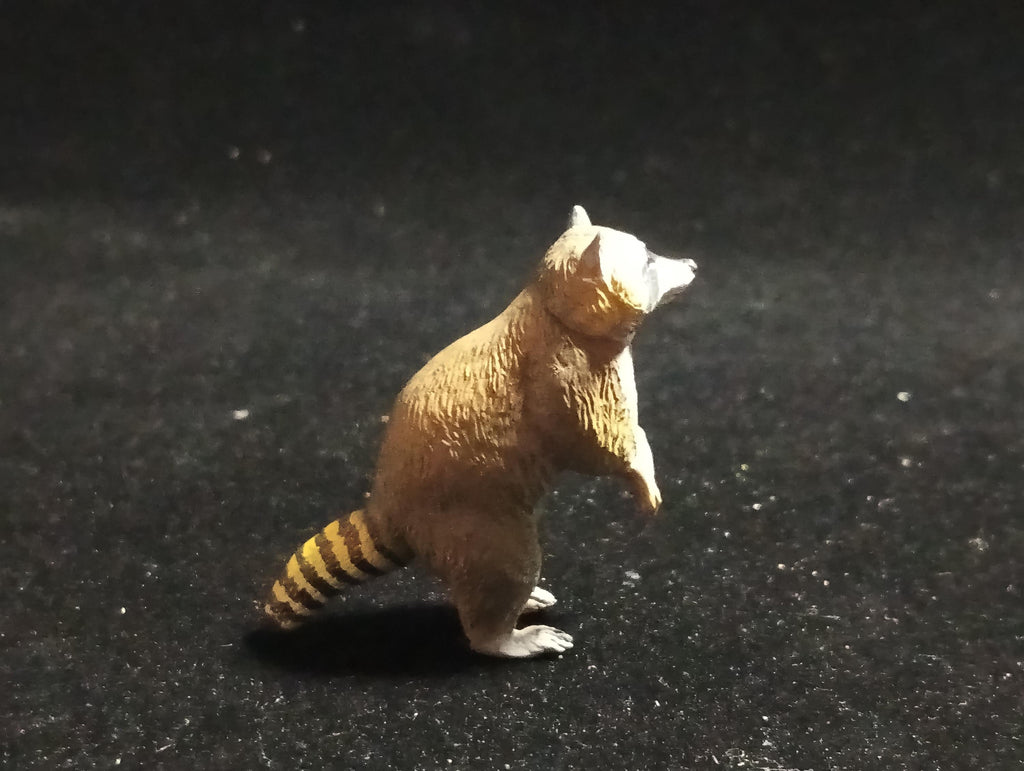 Kaiyodo Capsule Museum Q Japan Exclusive North American Raccoon Animal Figure