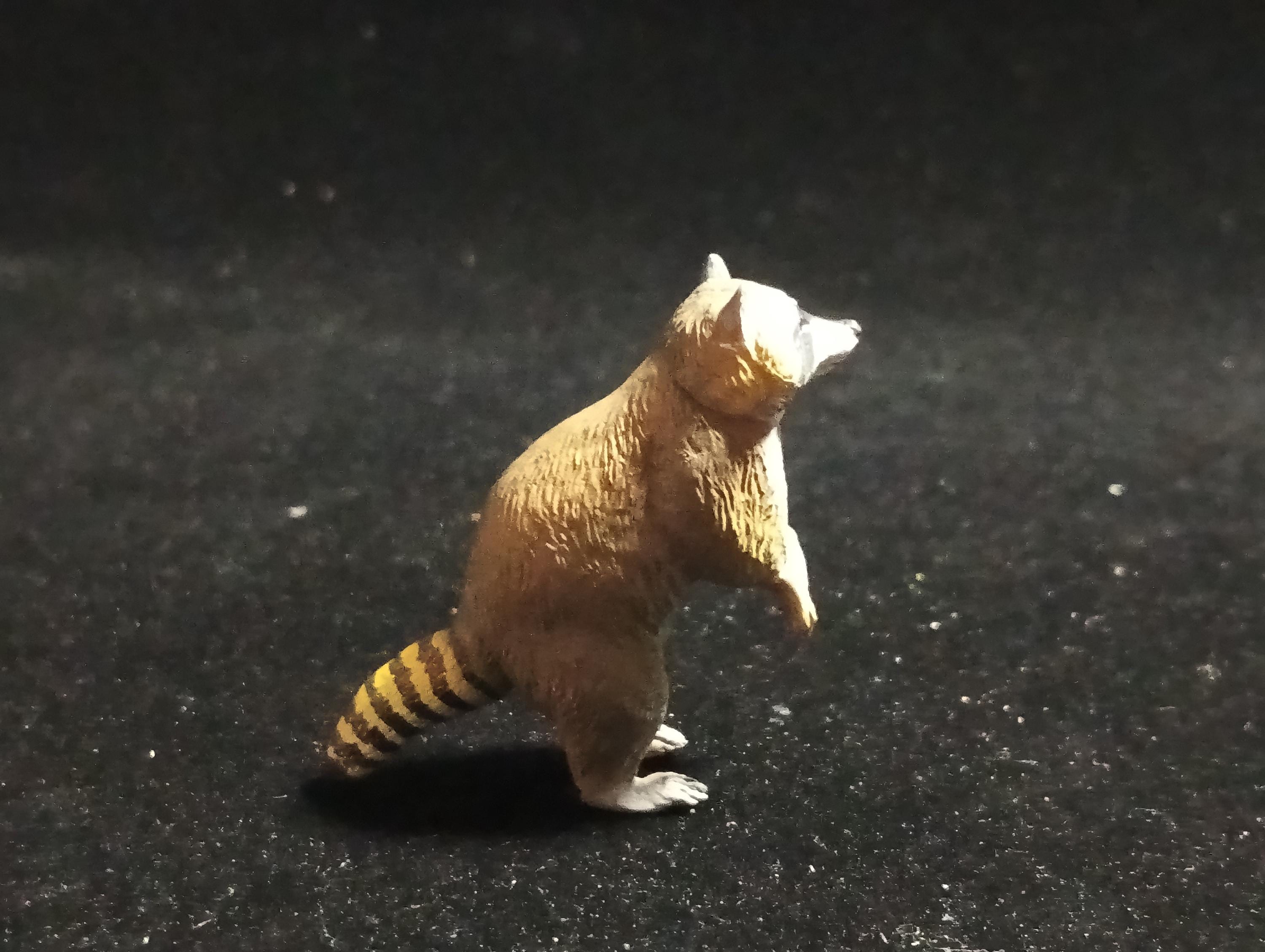Kaiyodo Capsule Museum Q Japan Exclusive North American Raccoon Animal Figure