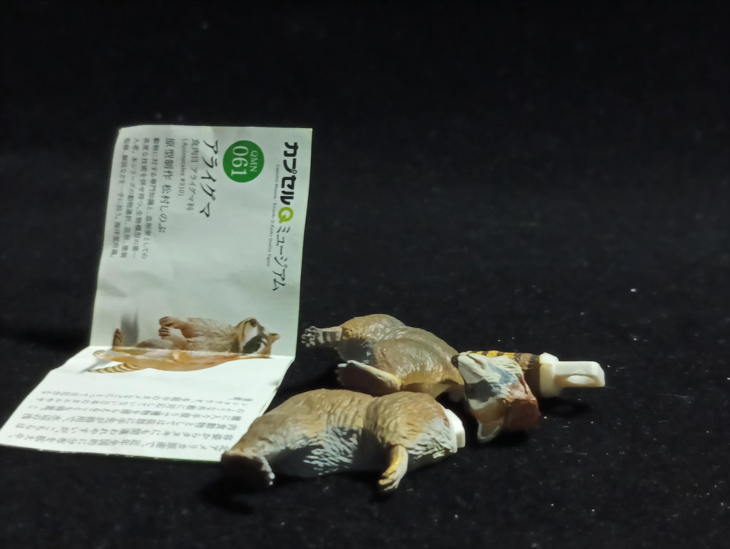 Kaiyodo Capsule Museum Q Japan Exclusive North American Raccoon Animal Figure