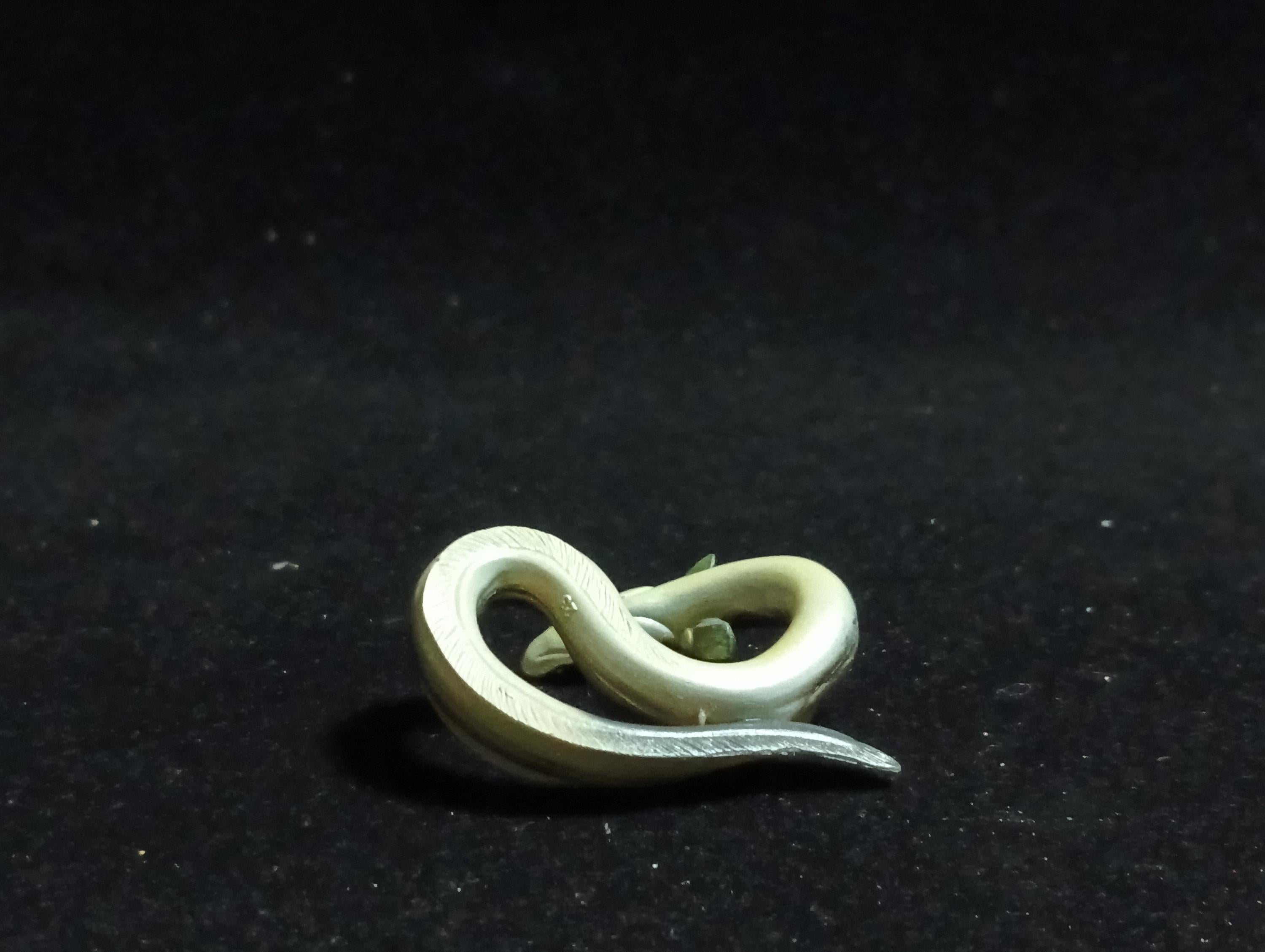 Freshwater Fish Encyclopedia 2: Conger Myriaster - Yujin