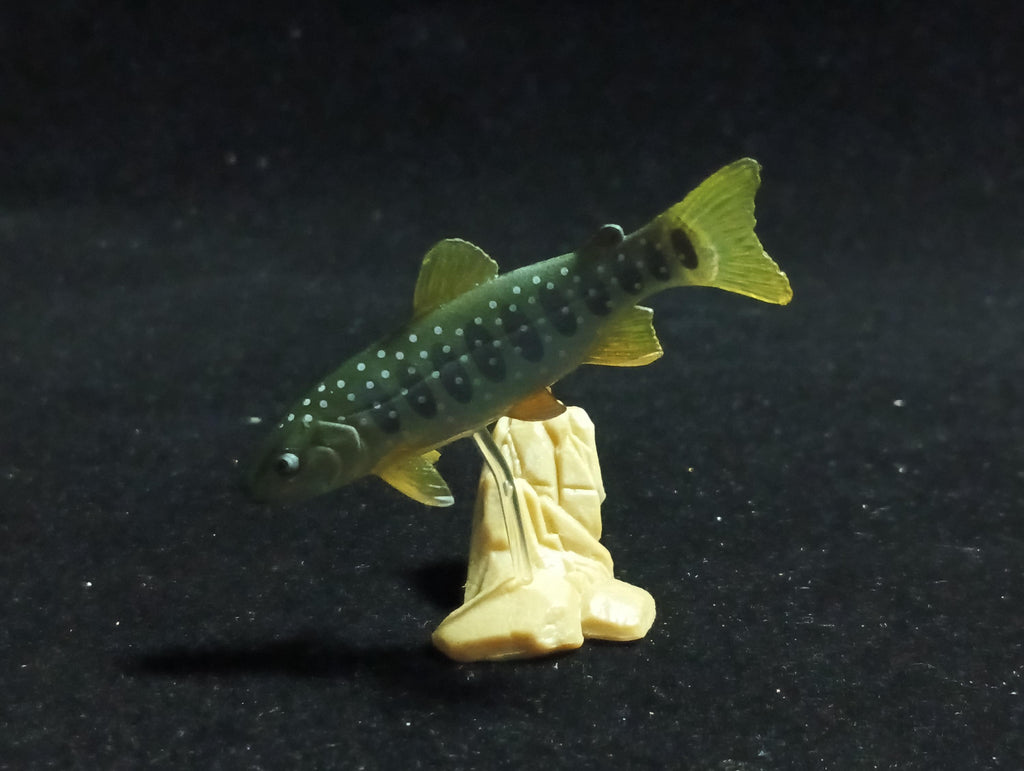 Freshwater Fish Encyclopedia 1: Salvelinus leucomaenis, the whitespotted char, Yujin