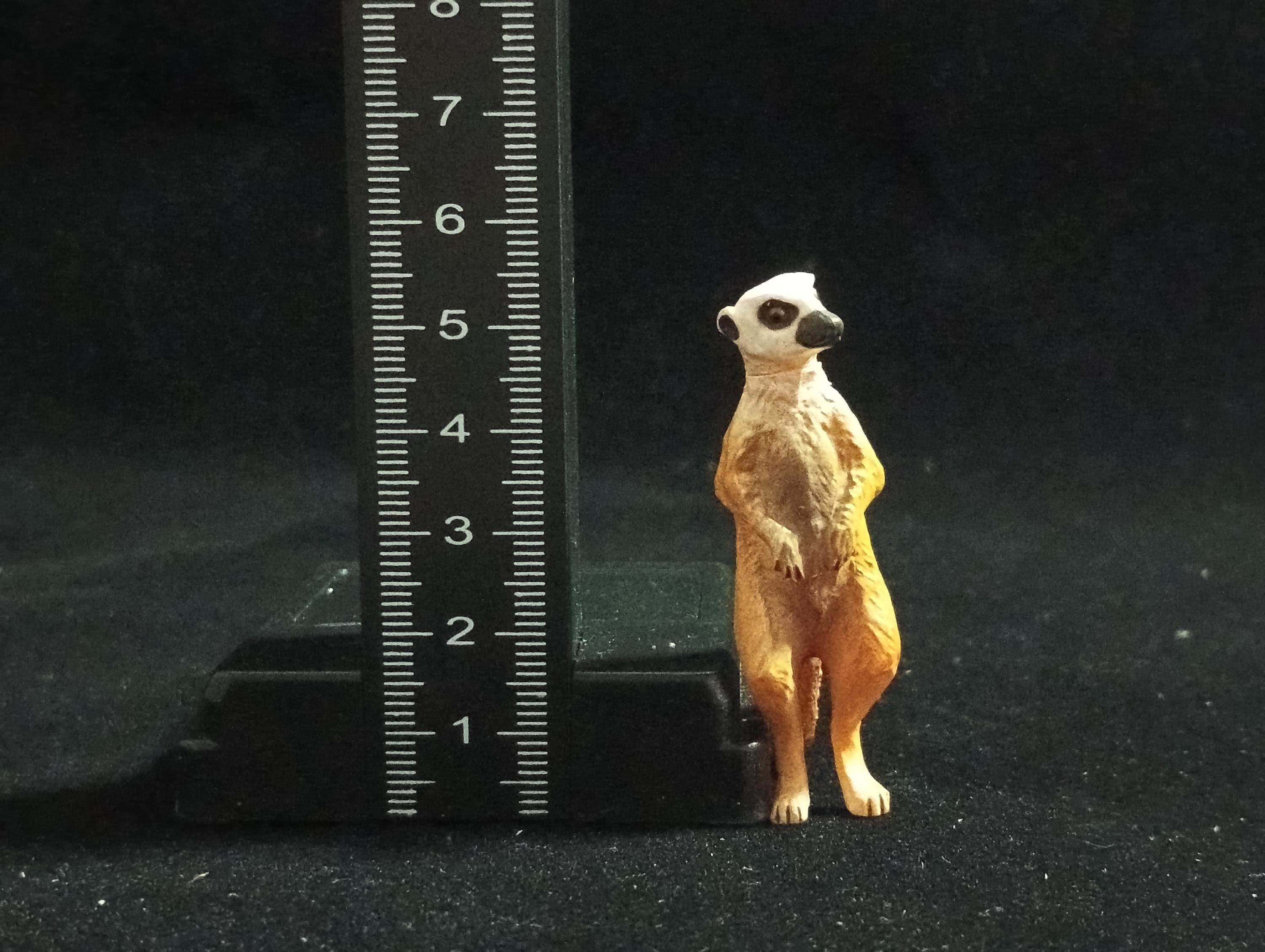 Miniature Suricata Figurine - Furuta