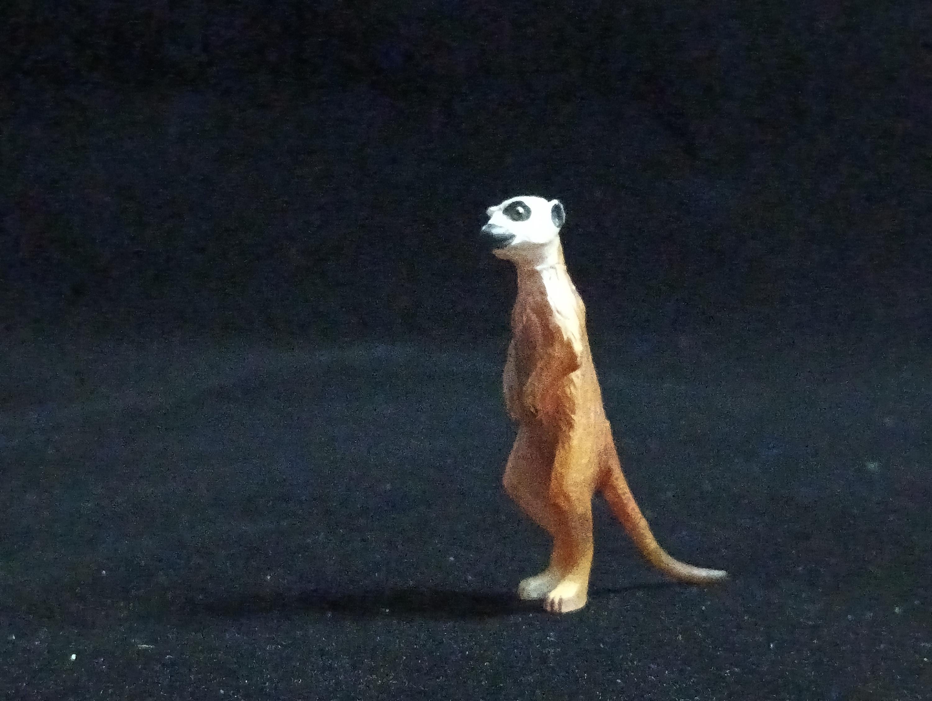 Miniature Suricata Figurine - Furuta