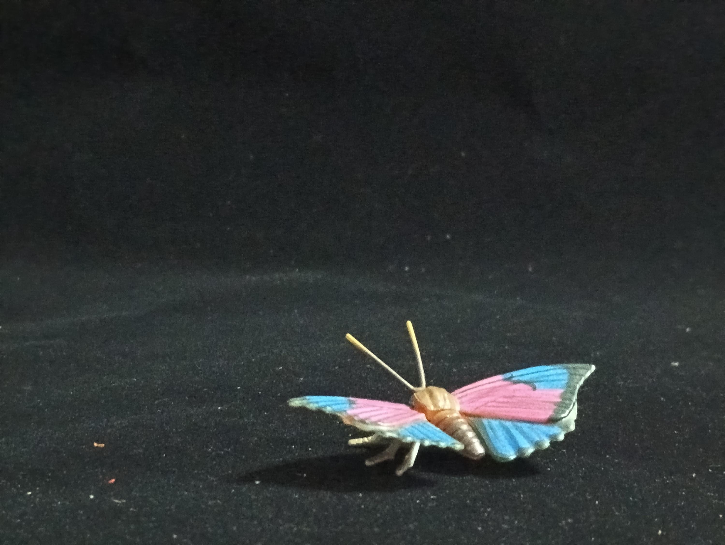 Miniature Butterfly (Nymphalidae) Figurine - Furuta