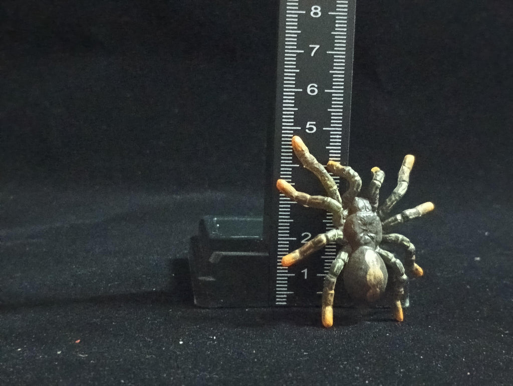 Miniature Tarantula Figurine - Furuta