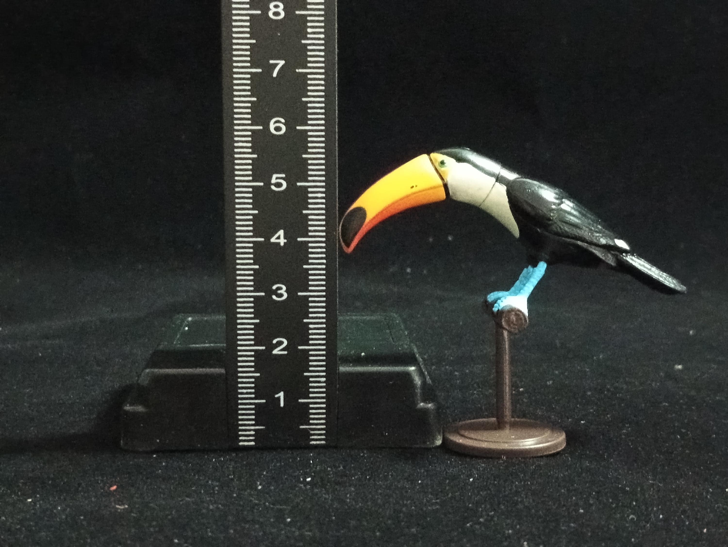Miniature Ramphastos toco Figurine - Furuta