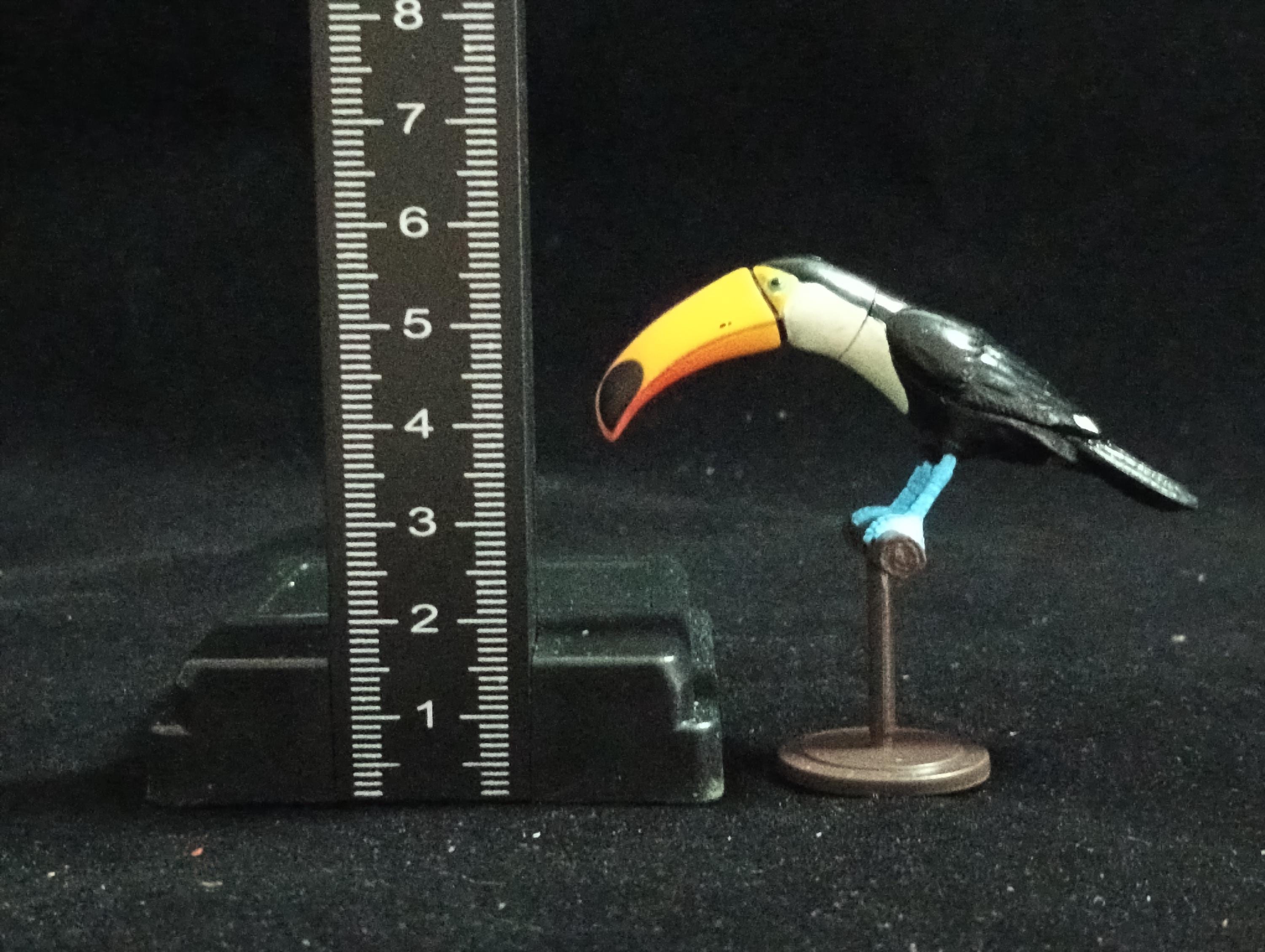 Miniature Ramphastos toco Figurine - Furuta