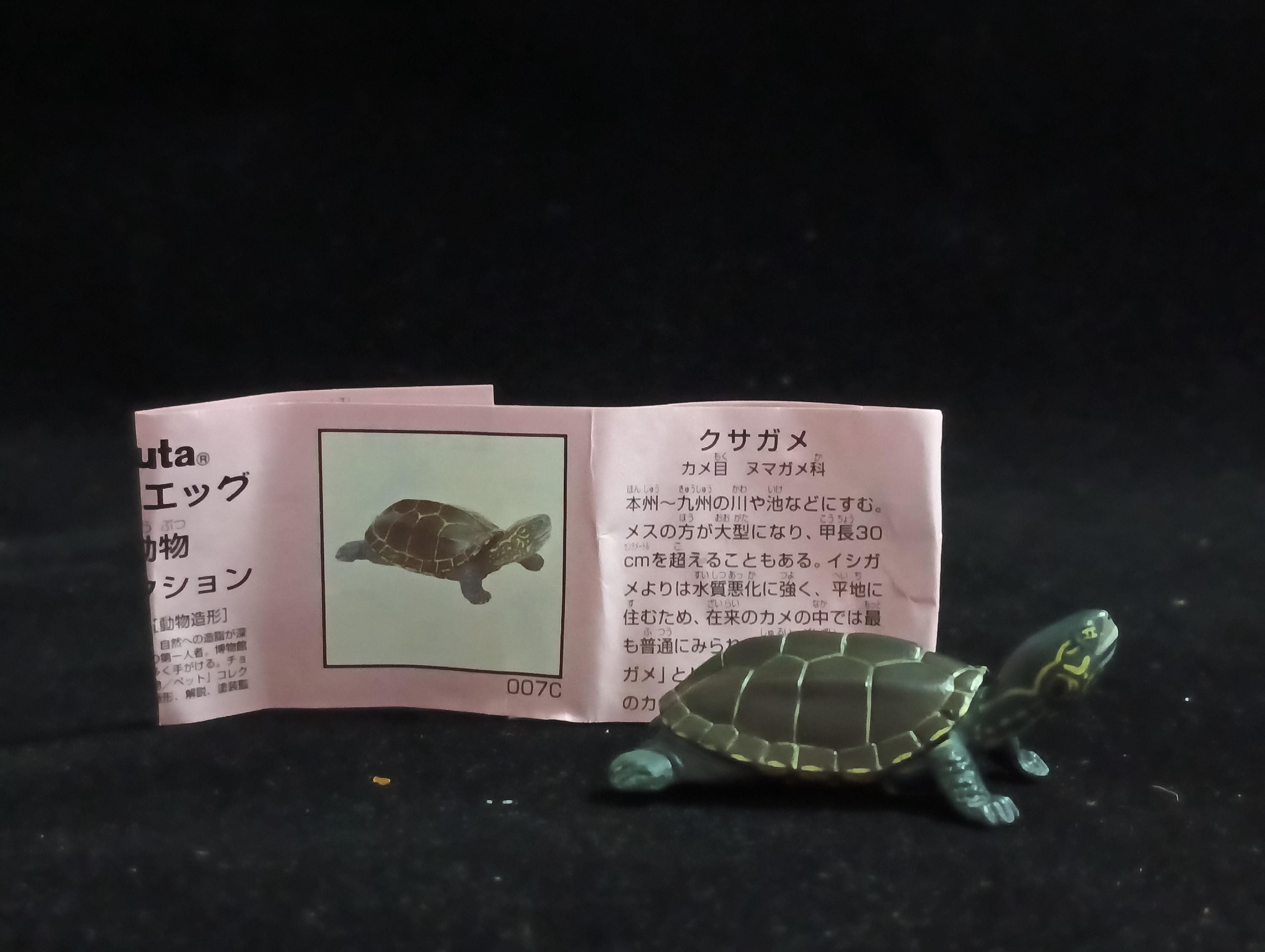 Miniature Grass turtle Figurine - Furuta