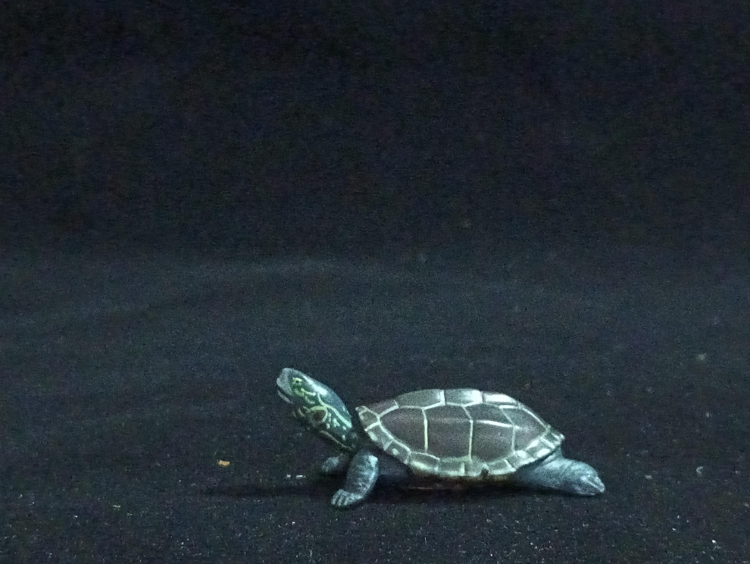 Miniature Grass turtle Figurine - Furuta