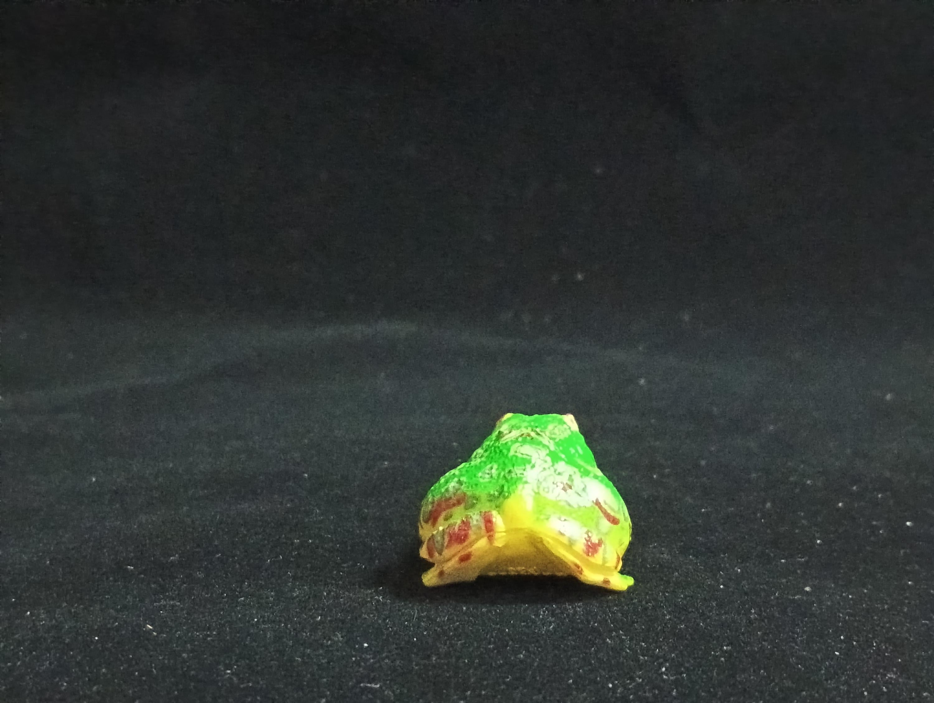 Miniature Argentine Horned Frog Figurine - Furuta