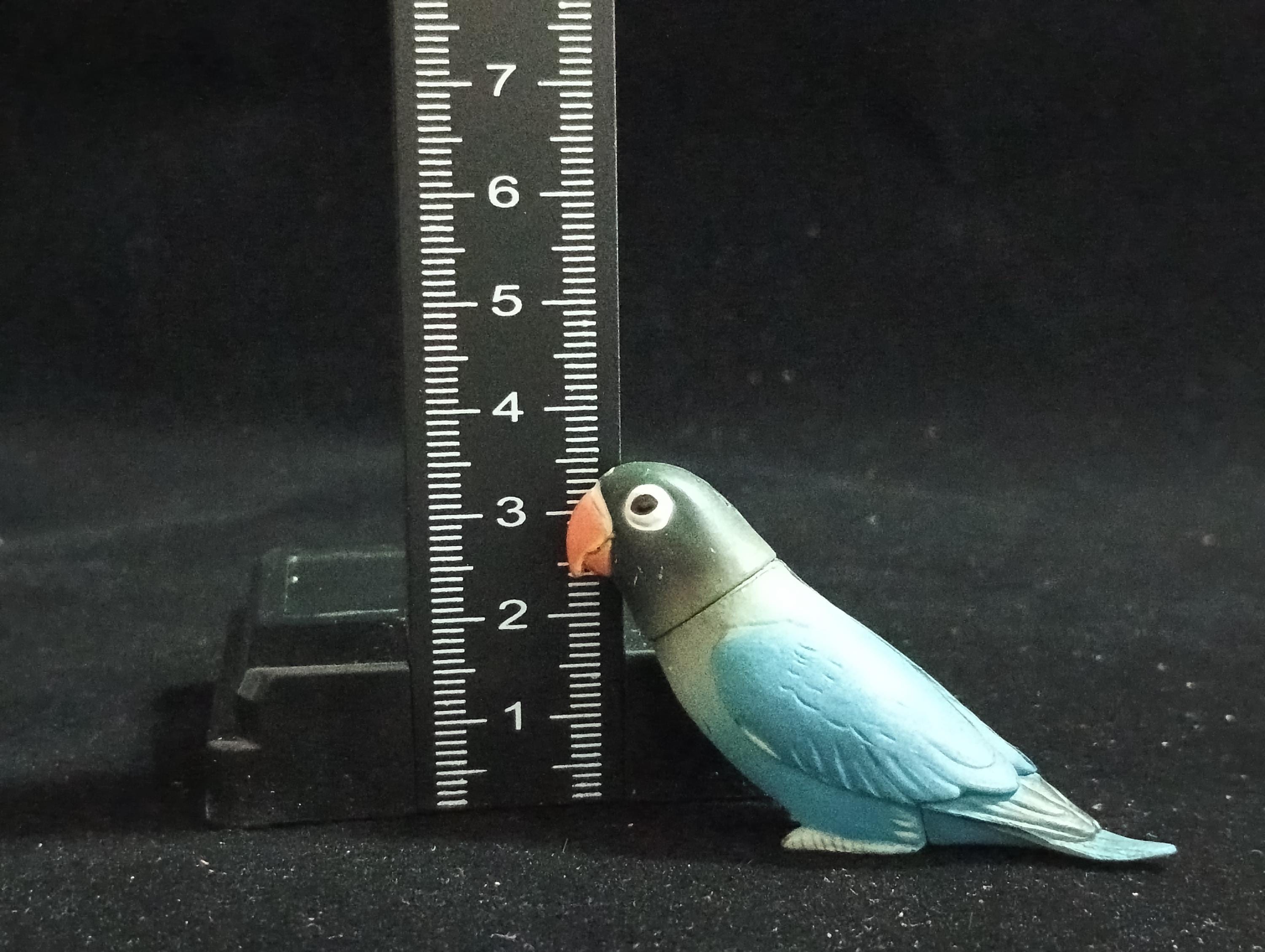 Miniature AFRICAN LOVEBIRD (Blue) Figurine - Furuta