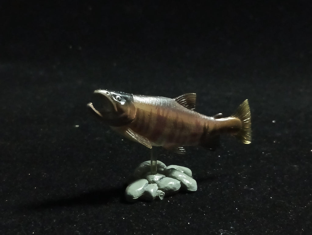 Freshwater Fish Encyclopedia 1: Chum Salmon, Yujin