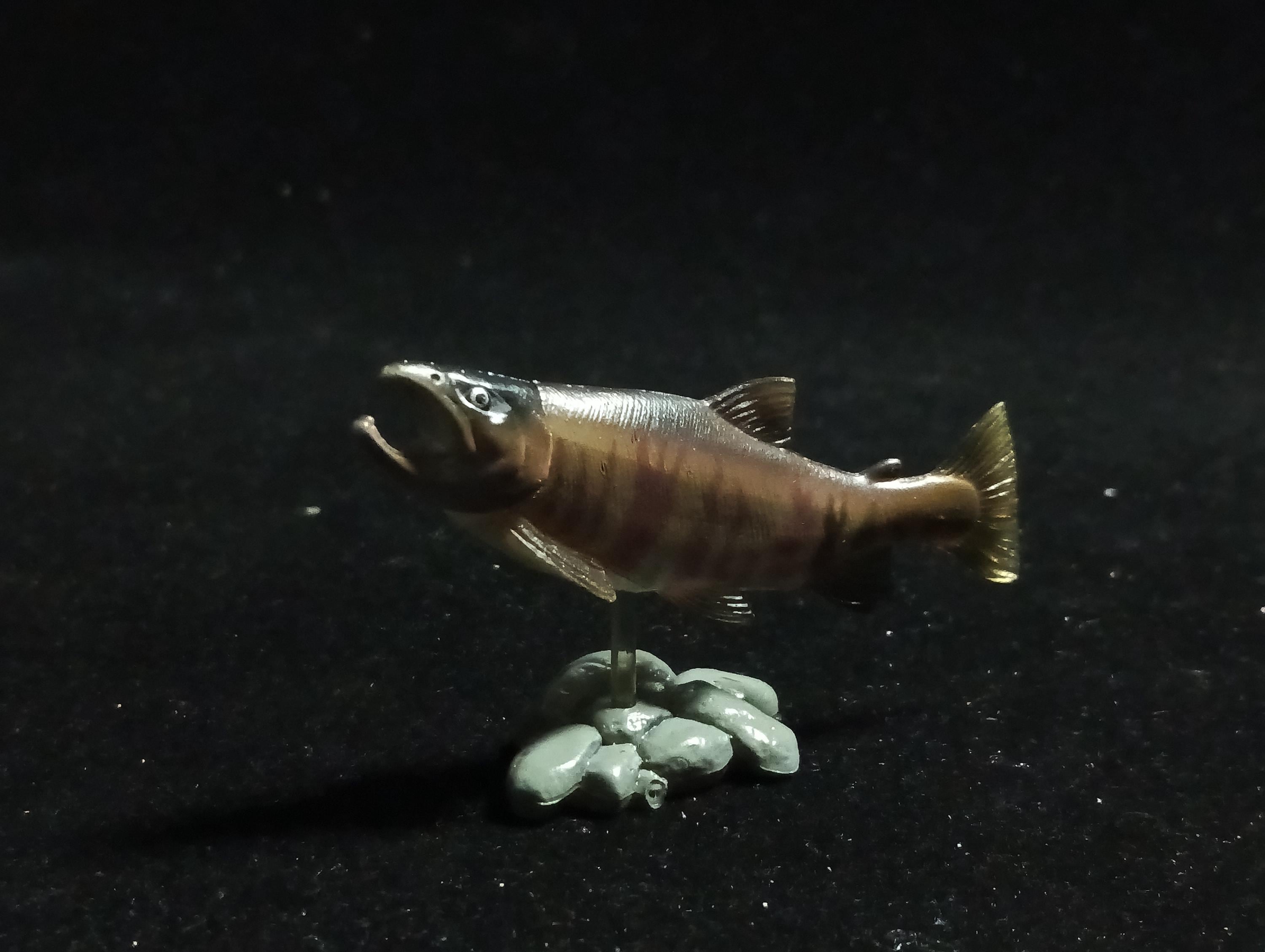 Freshwater Fish Encyclopedia 1: Chum Salmon, Yujin