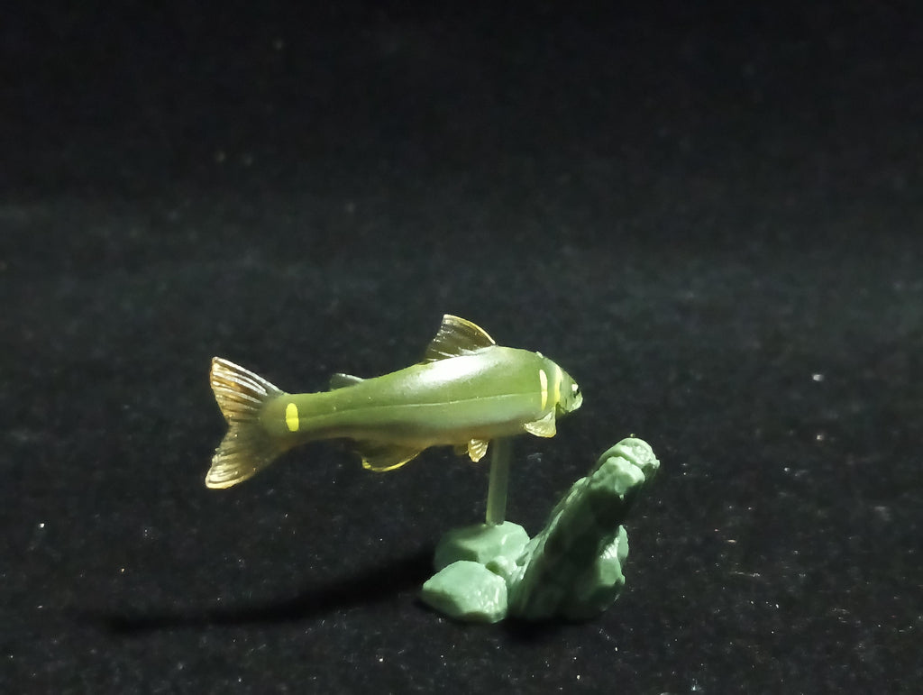 Freshwater Fish Encyclopedia 1: Plecoglossus altivelis , Yujin