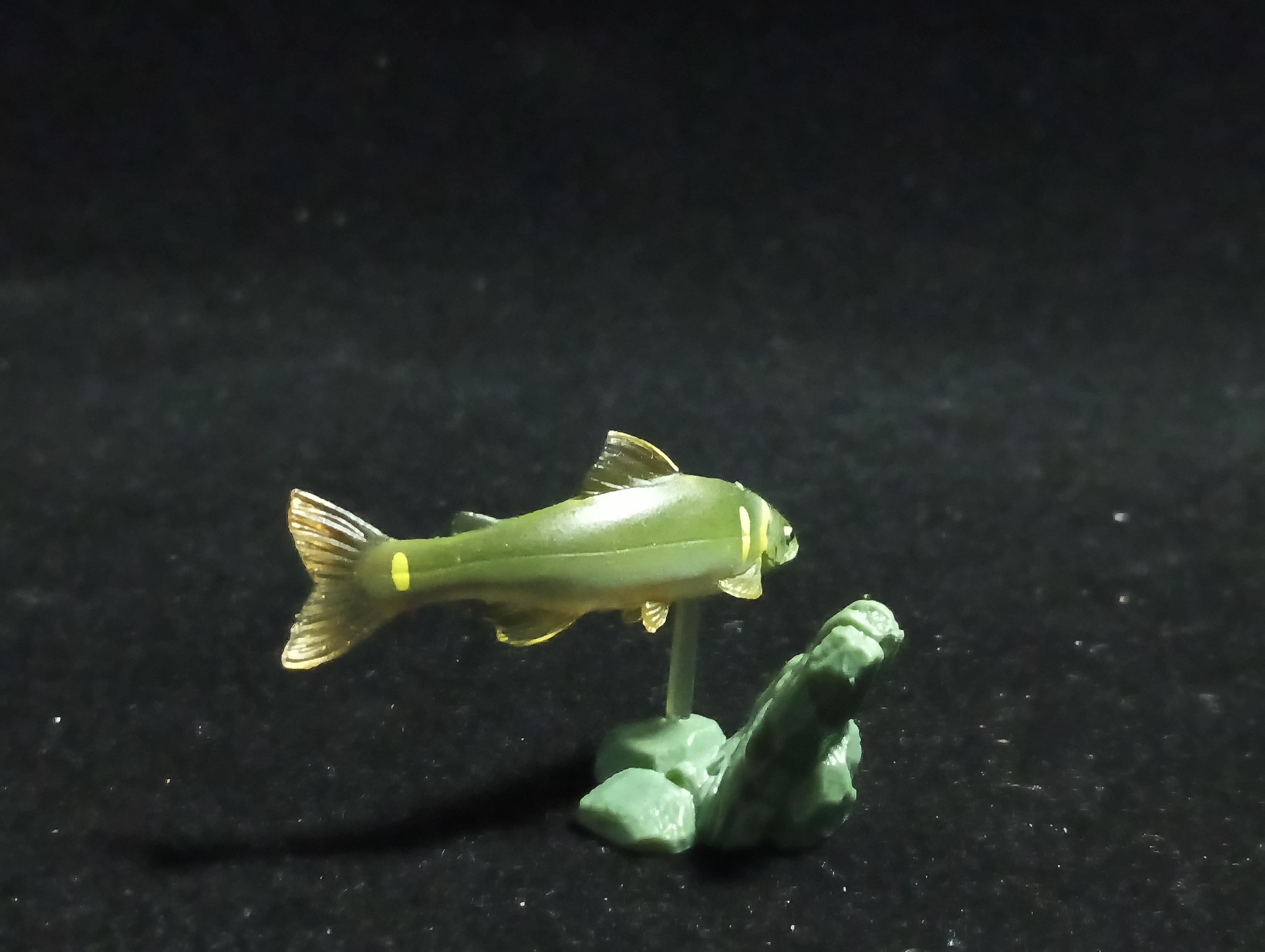 Freshwater Fish Encyclopedia 1: Plecoglossus altivelis , Yujin