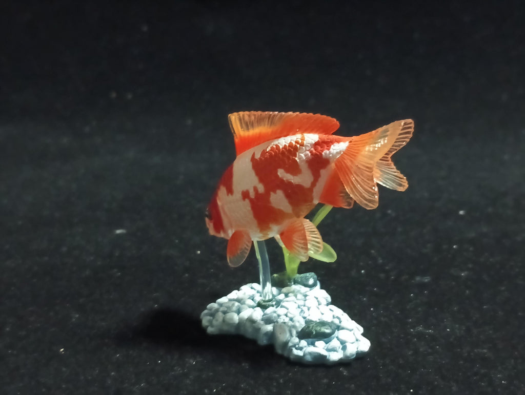 Freshwater Fish Encyclopedia 1:   Goldfish Wakin White/Orange, Yujin