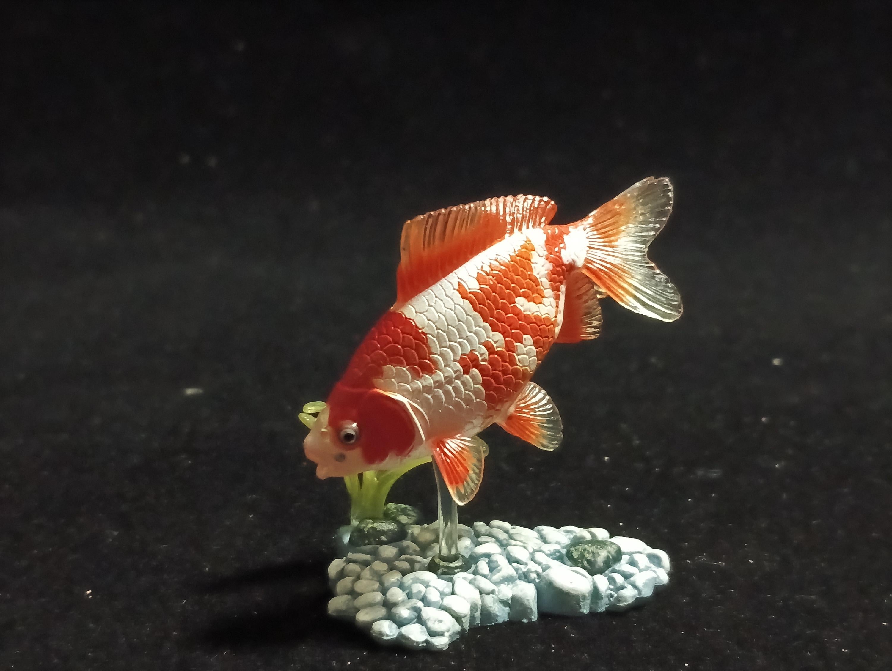 Freshwater Fish Encyclopedia 1:   Goldfish Wakin White/Orange, Yujin