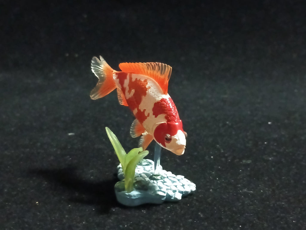 Freshwater Fish Encyclopedia 1:   Goldfish Wakin White/Orange, Yujin