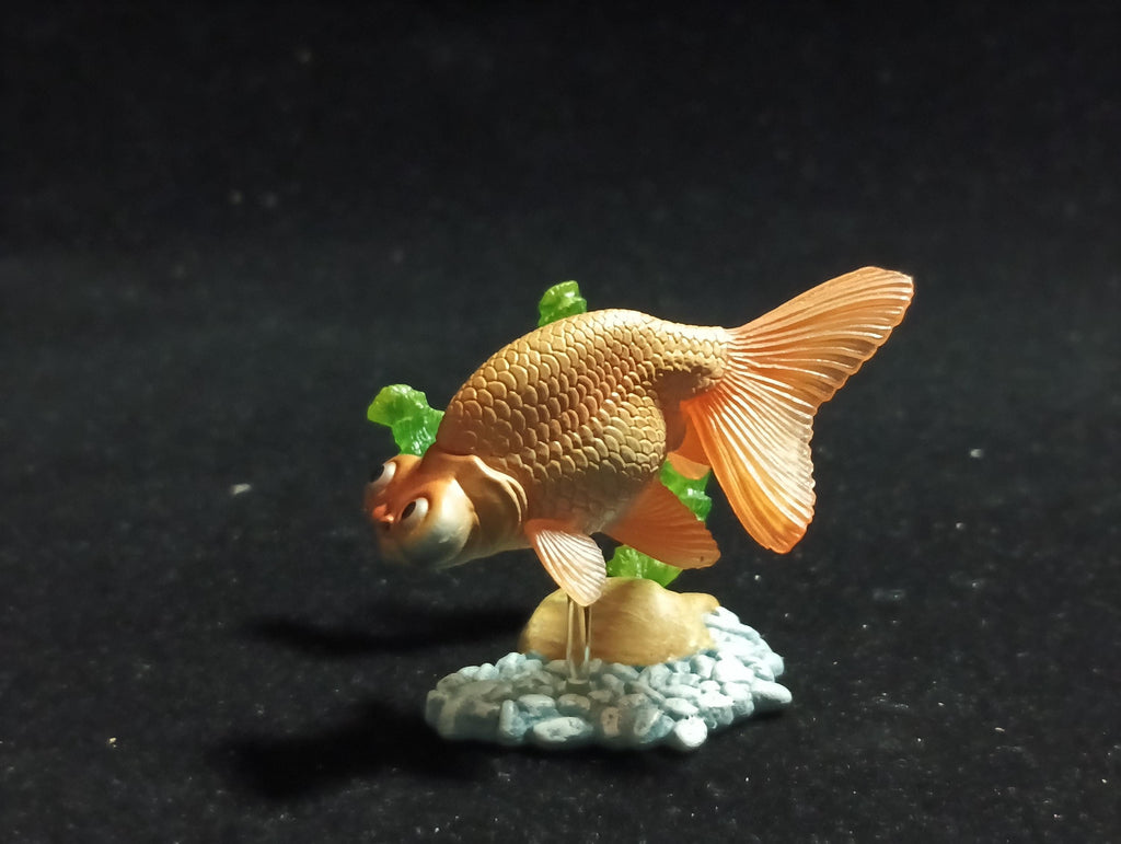 Freshwater Fish Encyclopedia 1:   Celestial Eye Goldfish A, Yujin