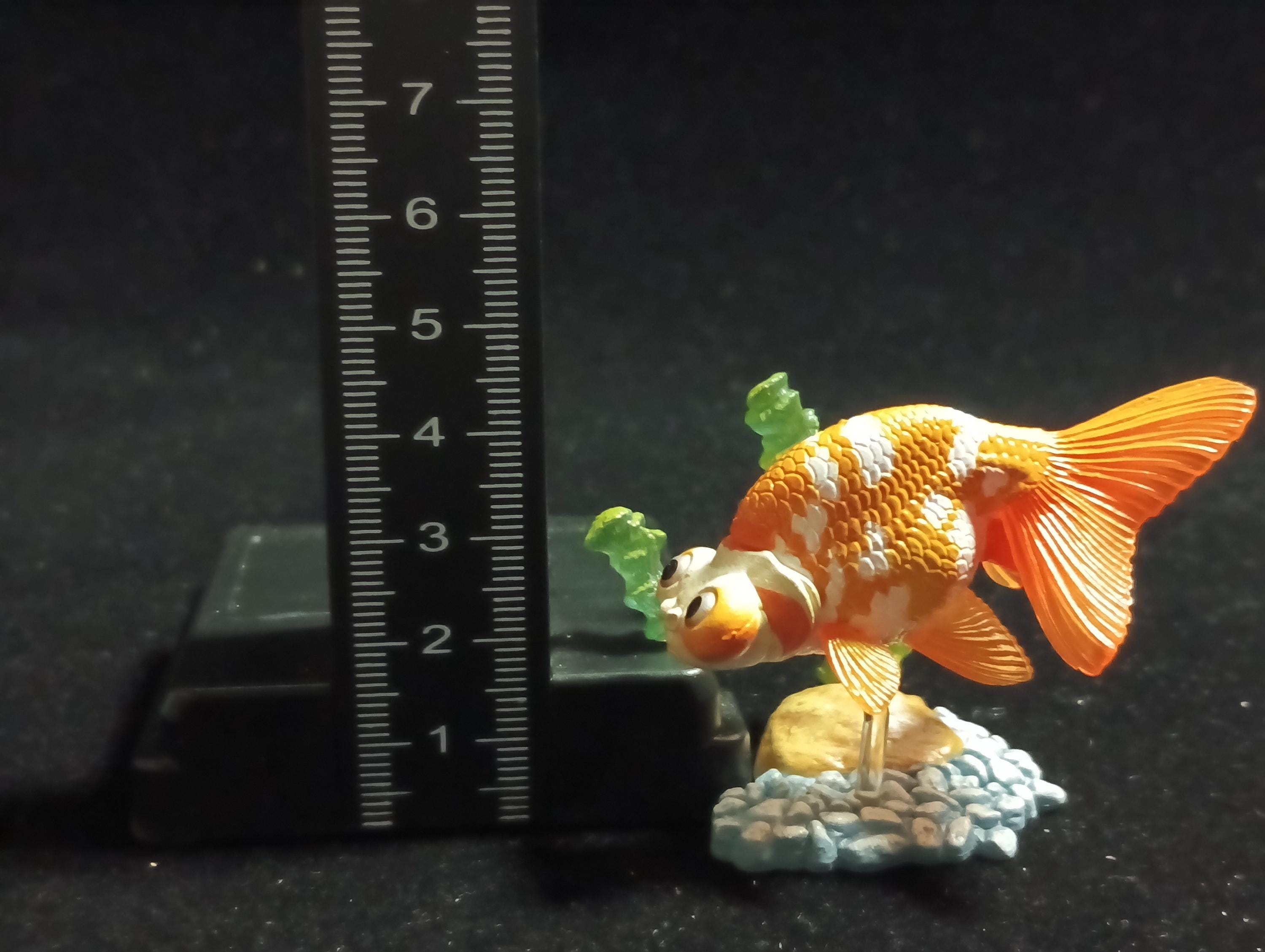 Freshwater Fish Encyclopedia 1:   Celestial Eye Goldfish B, Yujin