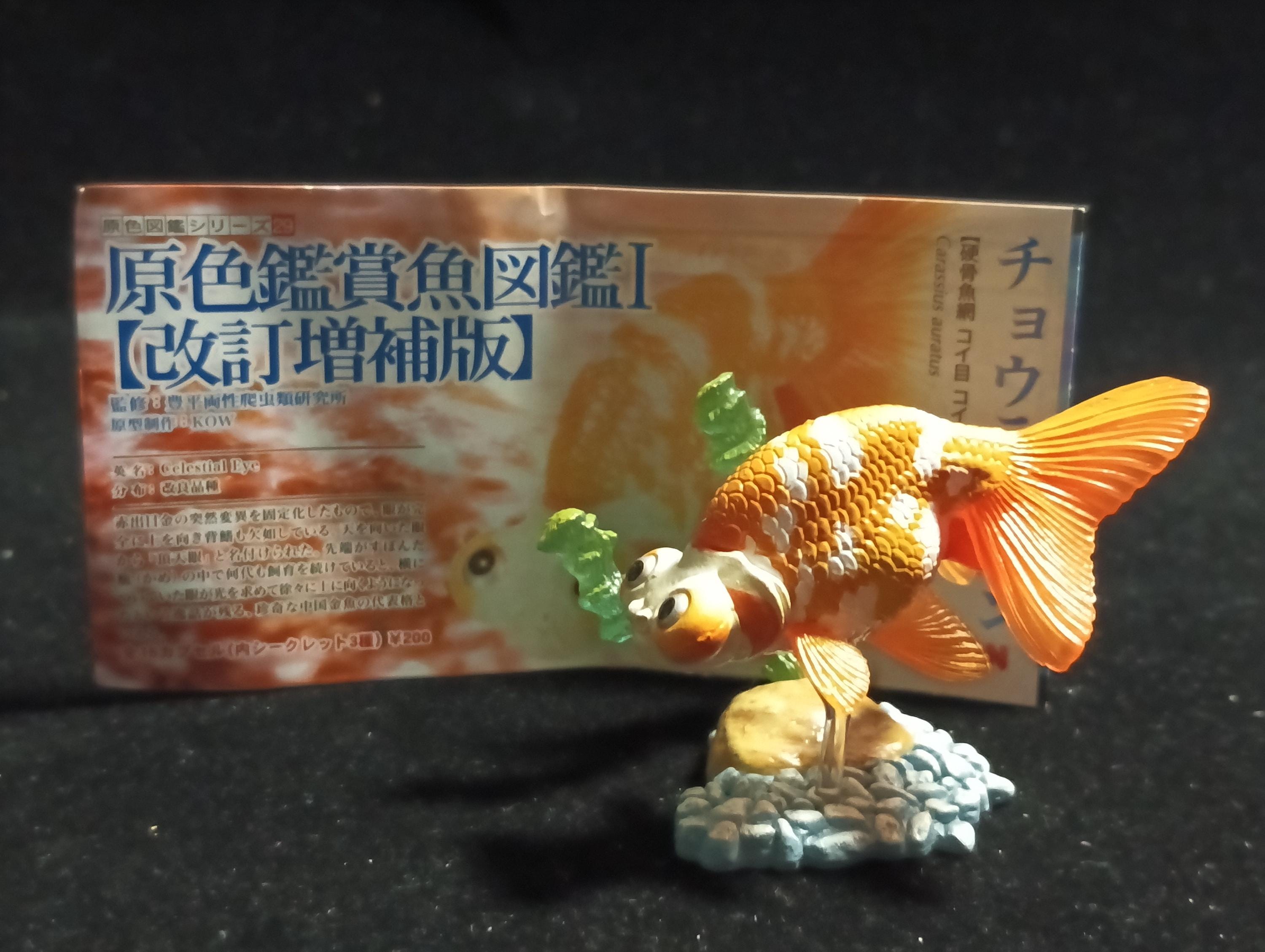 Freshwater Fish Encyclopedia 1:   Celestial Eye Goldfish B, Yujin