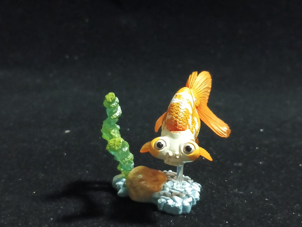 Freshwater Fish Encyclopedia 1:   Celestial Eye Goldfish B, Yujin