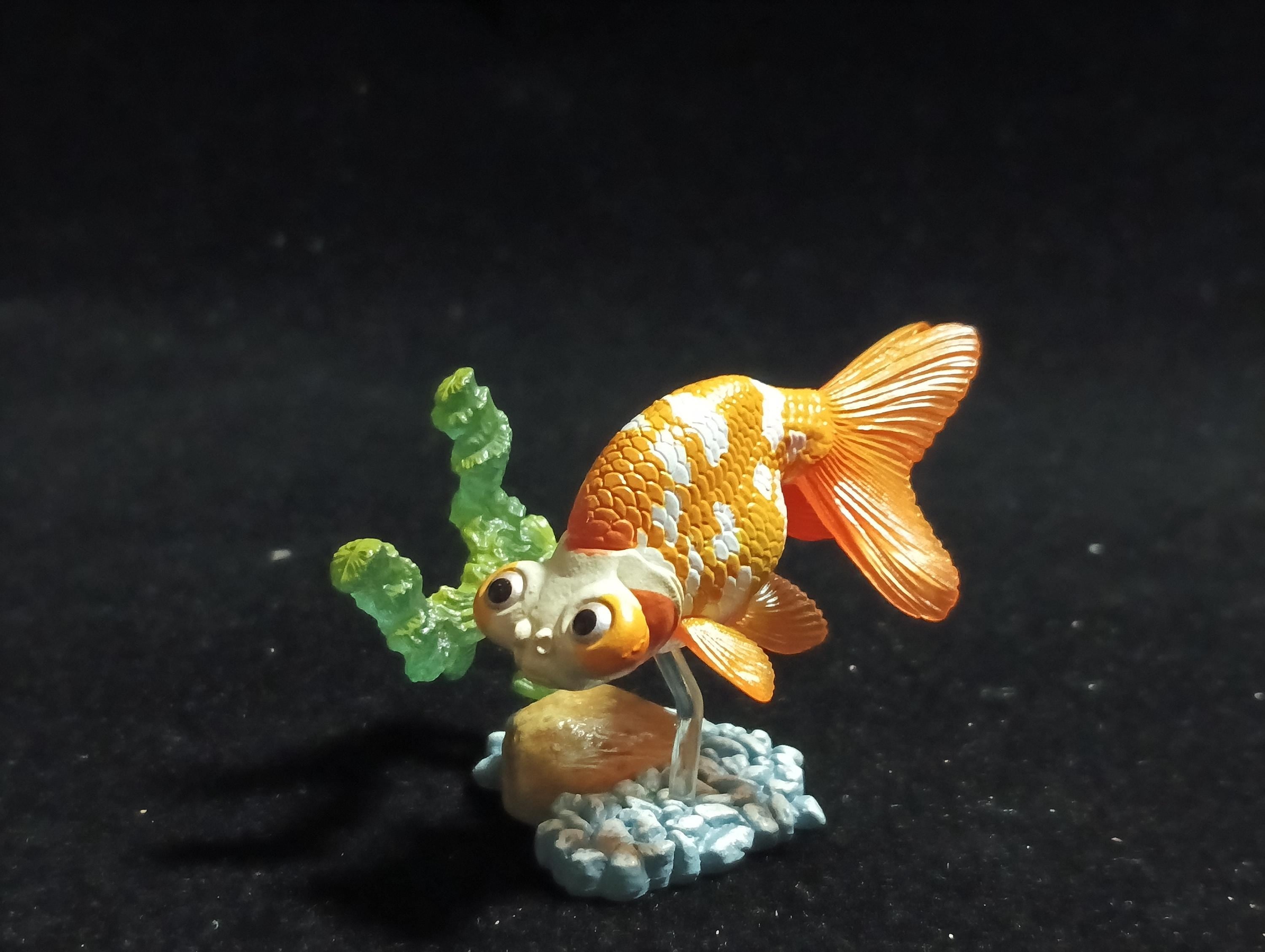 Freshwater Fish Encyclopedia 1:   Celestial Eye Goldfish B, Yujin