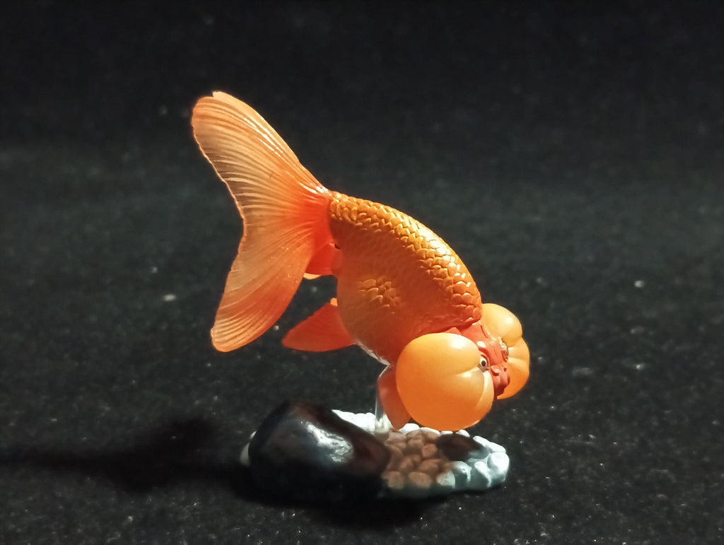Freshwater Fish Encyclopedia 1:  Bubble Eye Goldfish Fish, Yujin