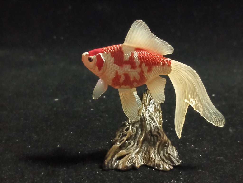 Freshwater Fish Encyclopedia 1:  Comet Goldfish, Yujin