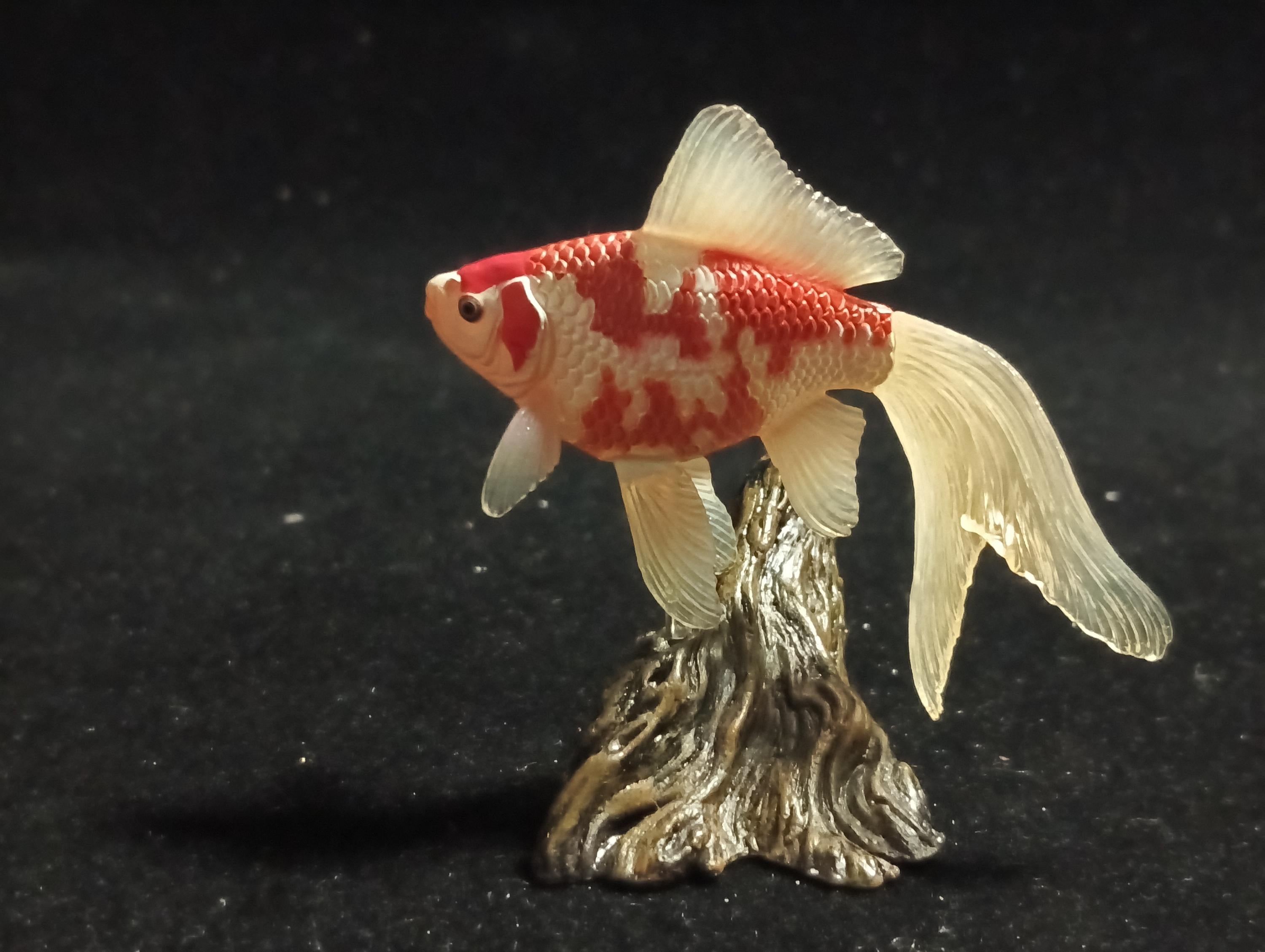 Freshwater Fish Encyclopedia 1:  Comet Goldfish, Yujin