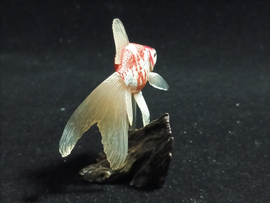 Freshwater Fish Encyclopedia 1:  Comet Goldfish, Yujin