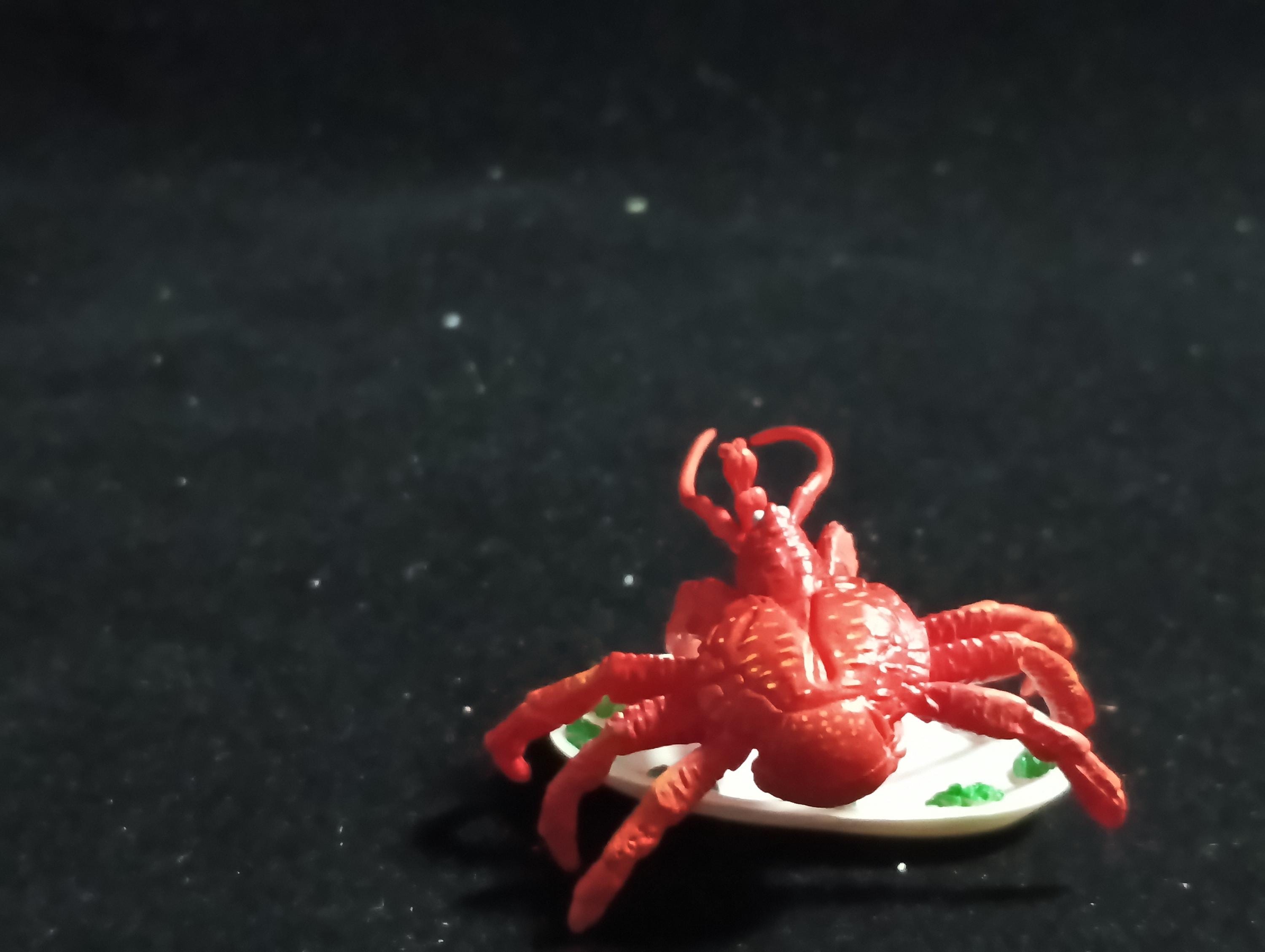 Coconut Crab (after cooking) “The Poison” - Epoch