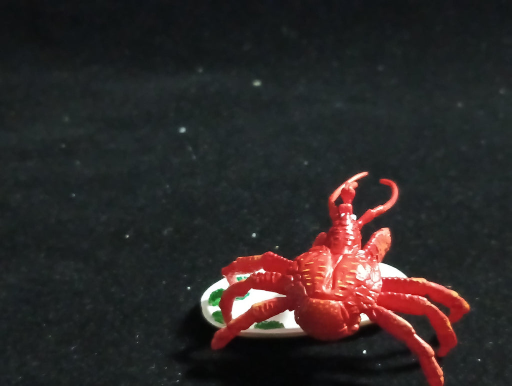 Coconut Crab (after cooking) “The Poison” - Epoch
