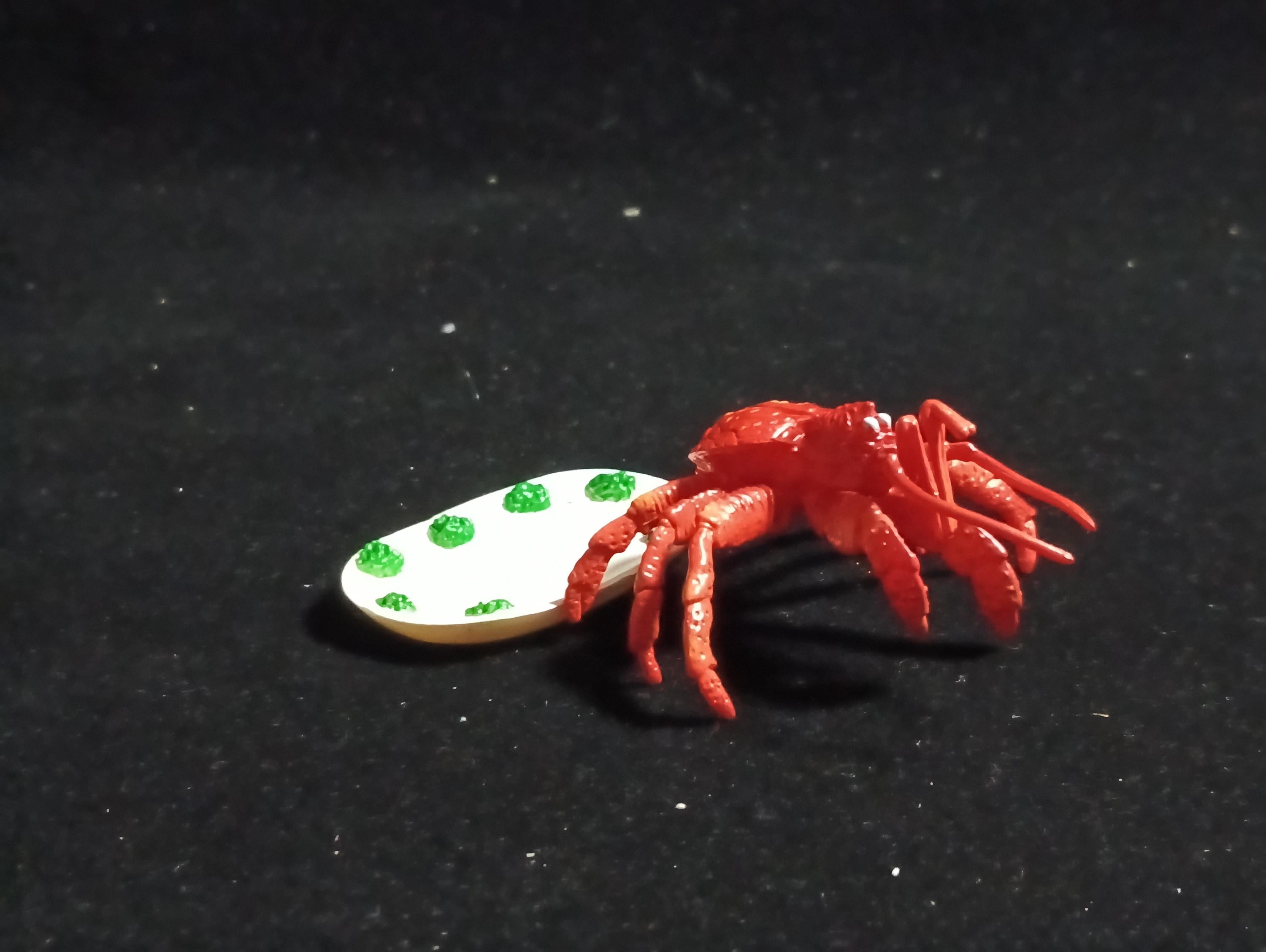 Coconut Crab (after cooking) “The Poison” - Epoch