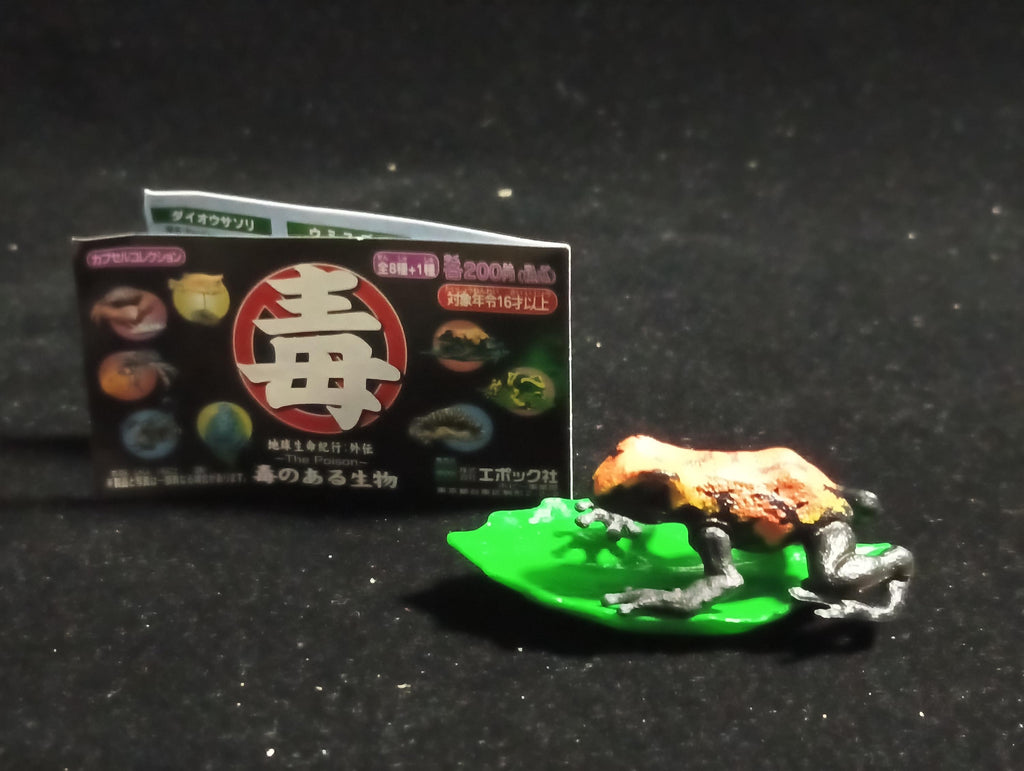 Strawberry poison dart frog “The Poison” - Epoch
